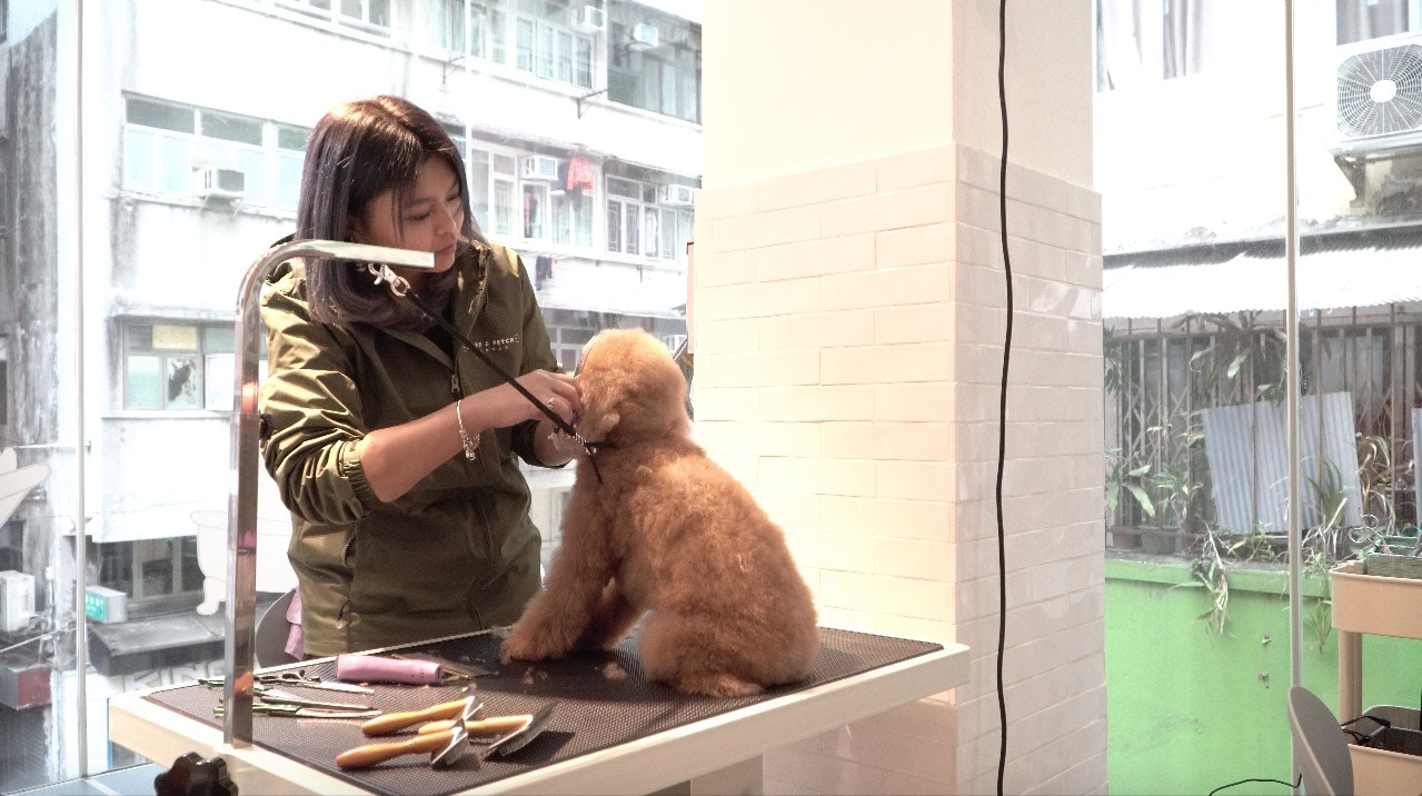 二樓美容區提供理毛美容、水療及特定造型服務。（沈敏怡攝）