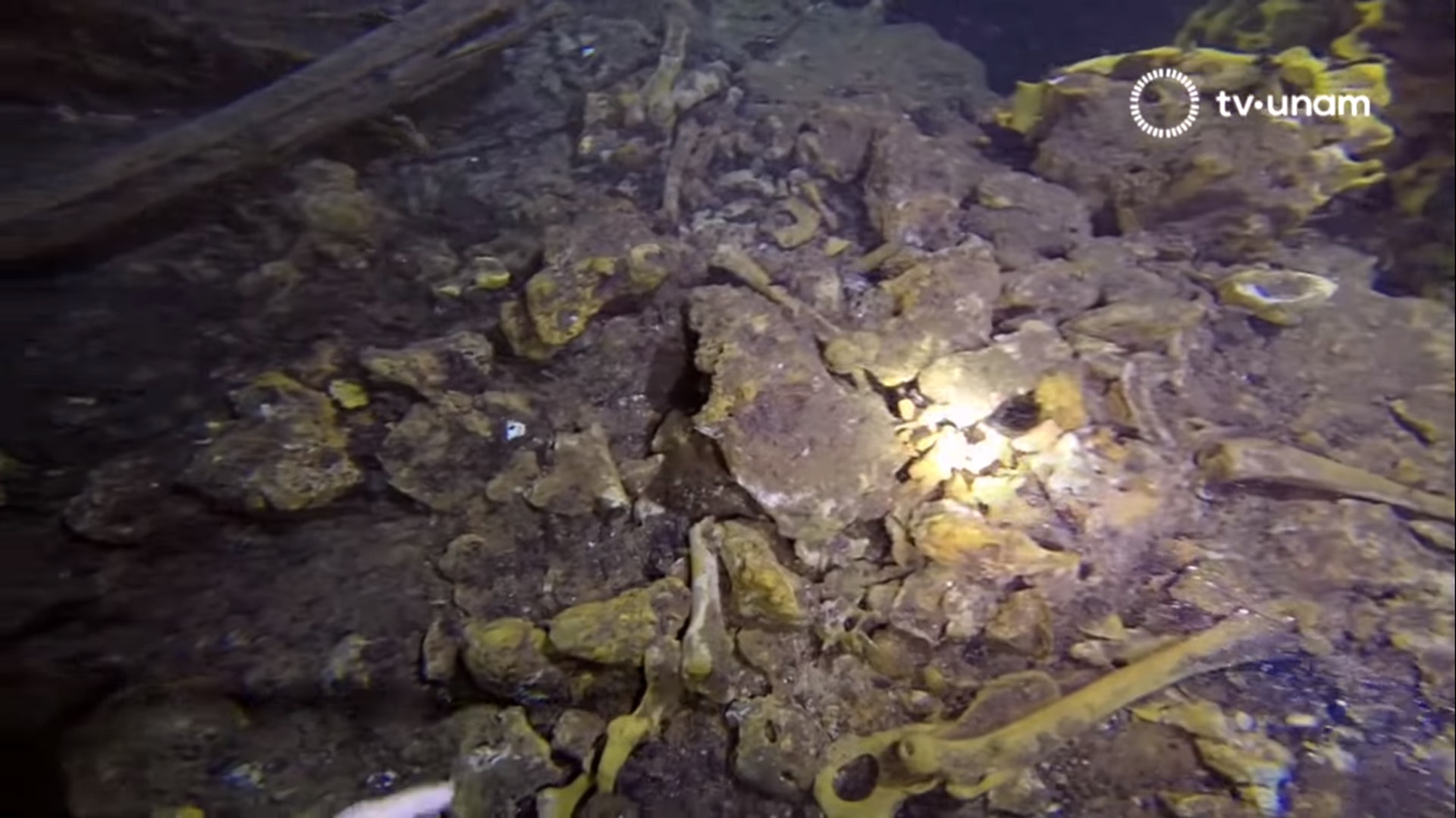 考古學收集數據，分析在海底下發現的化石及其他物體，來鑑定這些物品距今幾多年。（《EL GRAN ACUIFERO MAYA》網上擷圖）