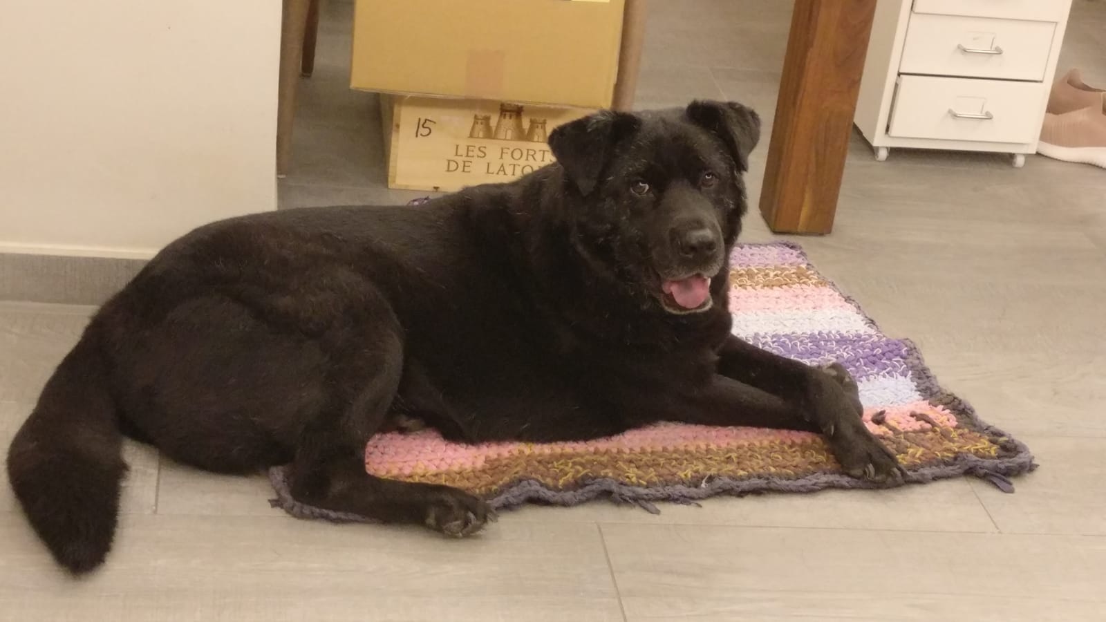 小黑與Suko同樣曾受過去陰影困擾。(受訪者提供) 小黑與Suko同樣曾受過去陰影困擾。(受訪者提供)