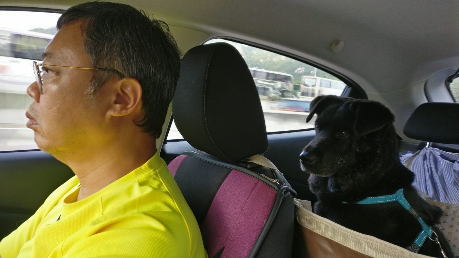 但在數次見面後,孫先生終被小黑乖巧的性格所融化。(受訪者提供) 但在數次見面後,孫先生終被小黑乖巧的性格所融化。(受訪者提供)