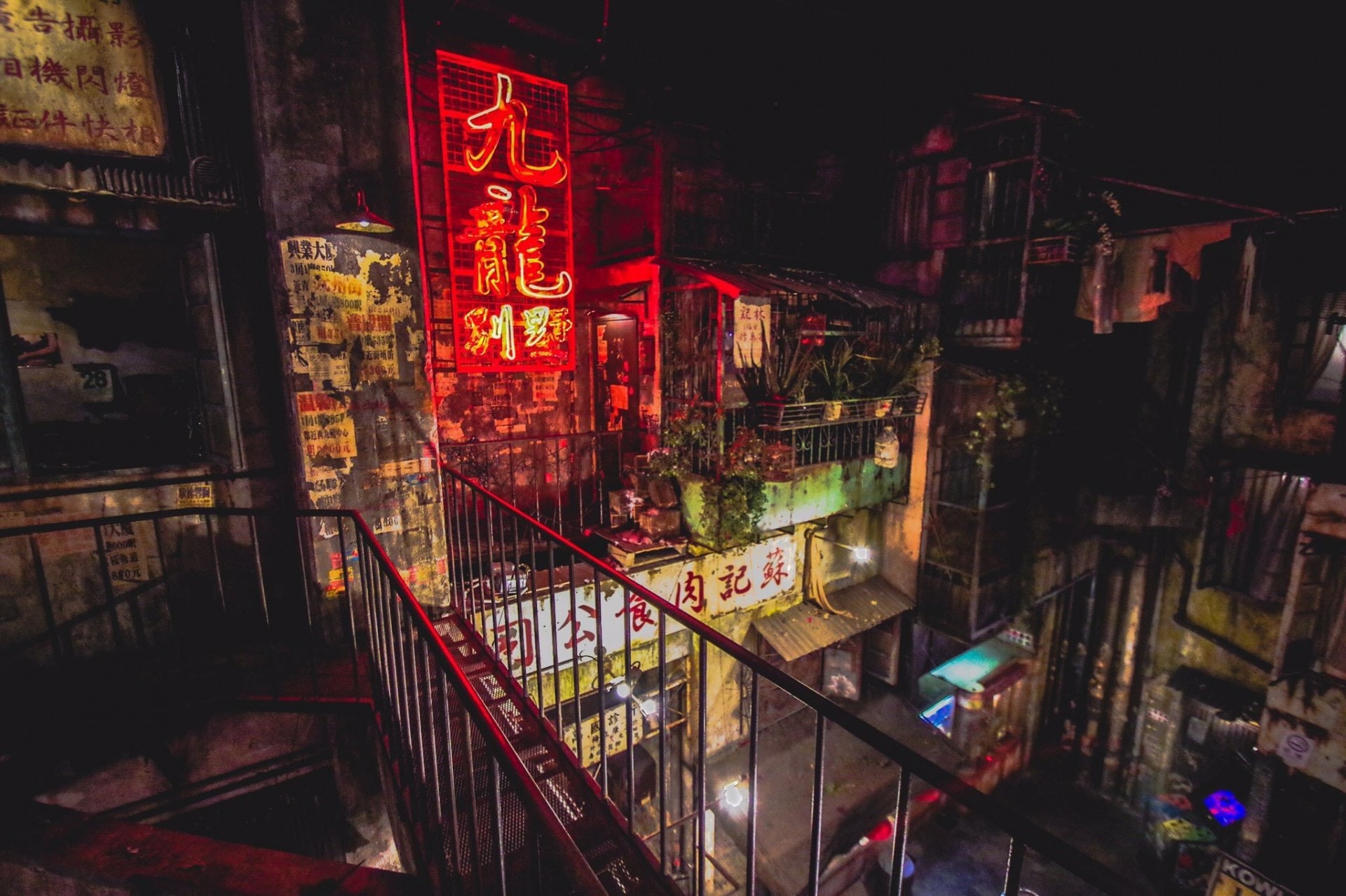 九龍 城 日本