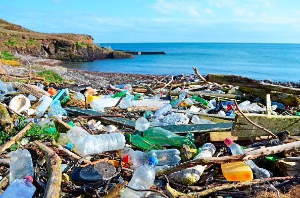 大澳鯨魚吞帆布袋｜港一年海洋垃圾逾5000公噸　威脅海洋生物生存