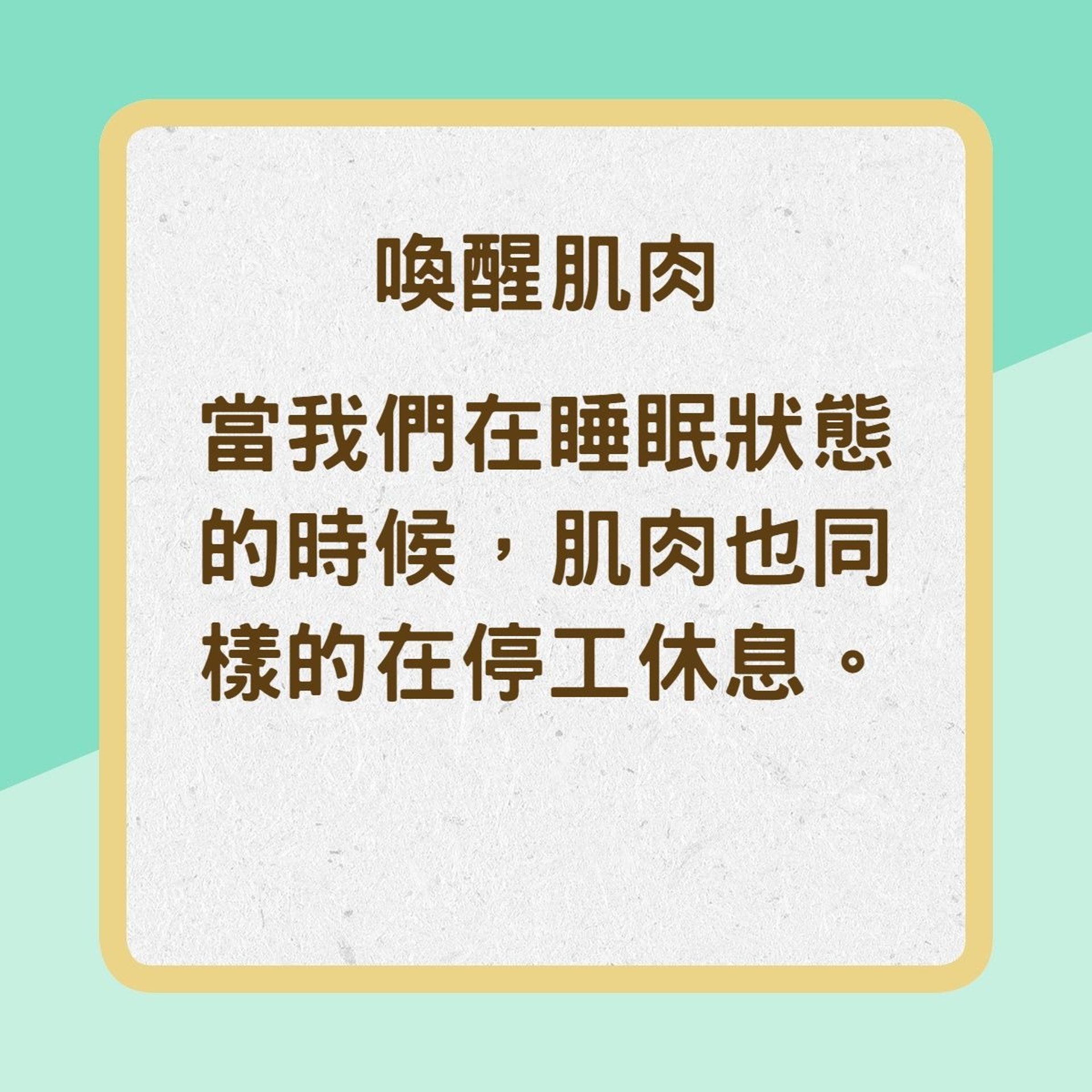 【伸懶腰為什麼這麼爽?】喚醒肌肉(香港01製圖) 【伸懶腰為什麼這麼爽?】喚醒肌肉(香港01製圖)