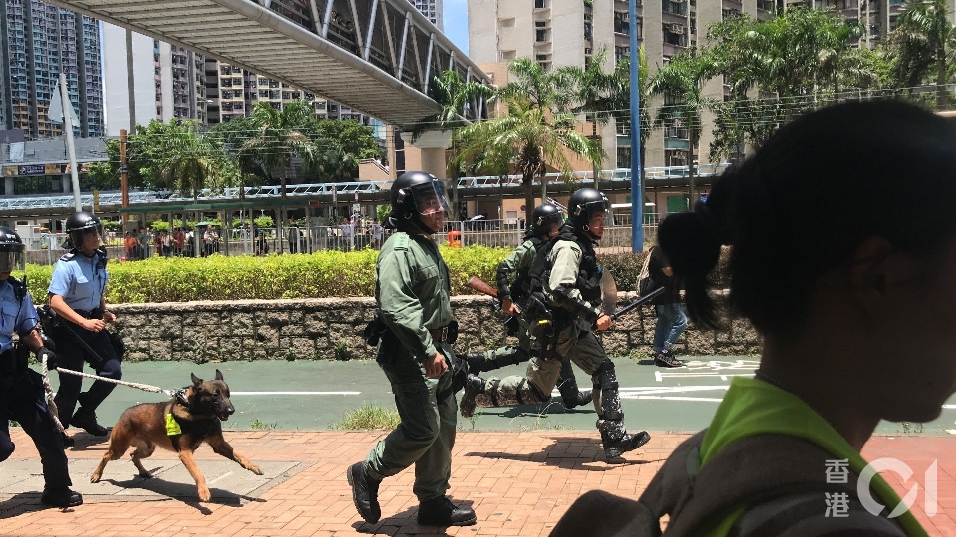 警方近月不時帶警犬到示威現場,惹來動保人士抗議。(資料圖片) 警方近月不時帶警犬到示威現場,惹來動保人士抗議。(資料圖片)