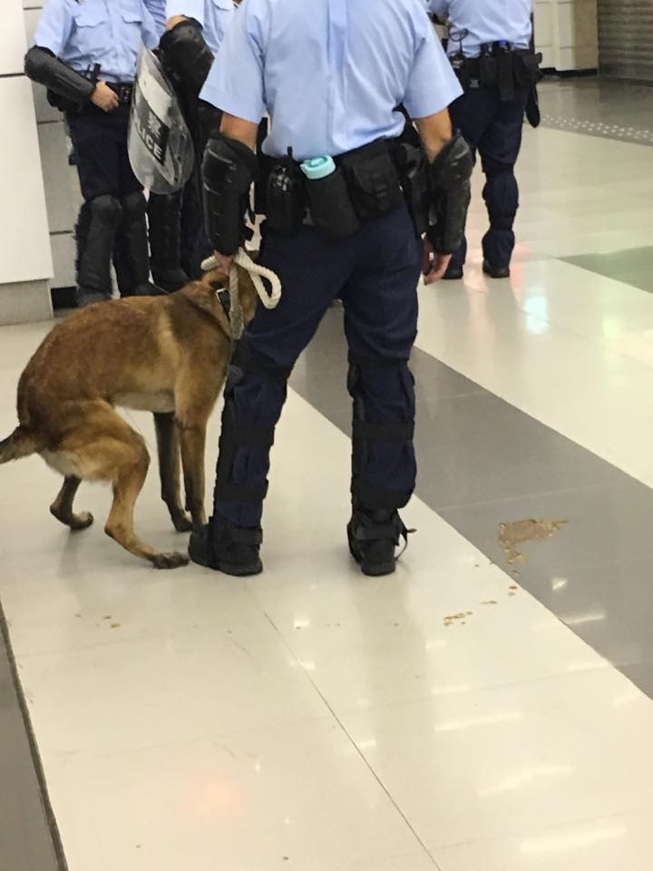 網民見狀紛紛表示擔心警犬狀況,警犬健康成疑。(Facebook@香港on9協會) 網民見狀紛紛表示擔心警犬狀況,警犬健康成疑。(Facebook@香港on9協會)