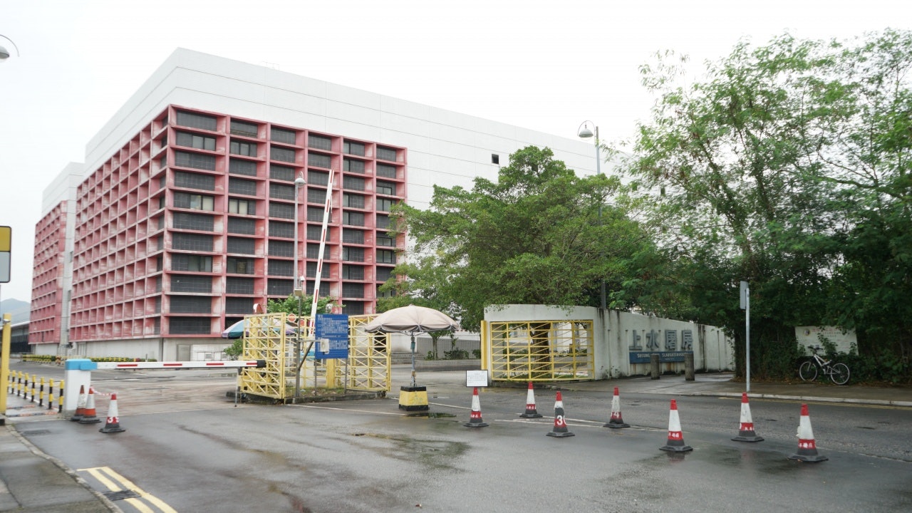 19隻本地豬懷疑含有違禁獸藥氯霉素 19隻本地豬懷疑含有違禁獸藥氯霉素