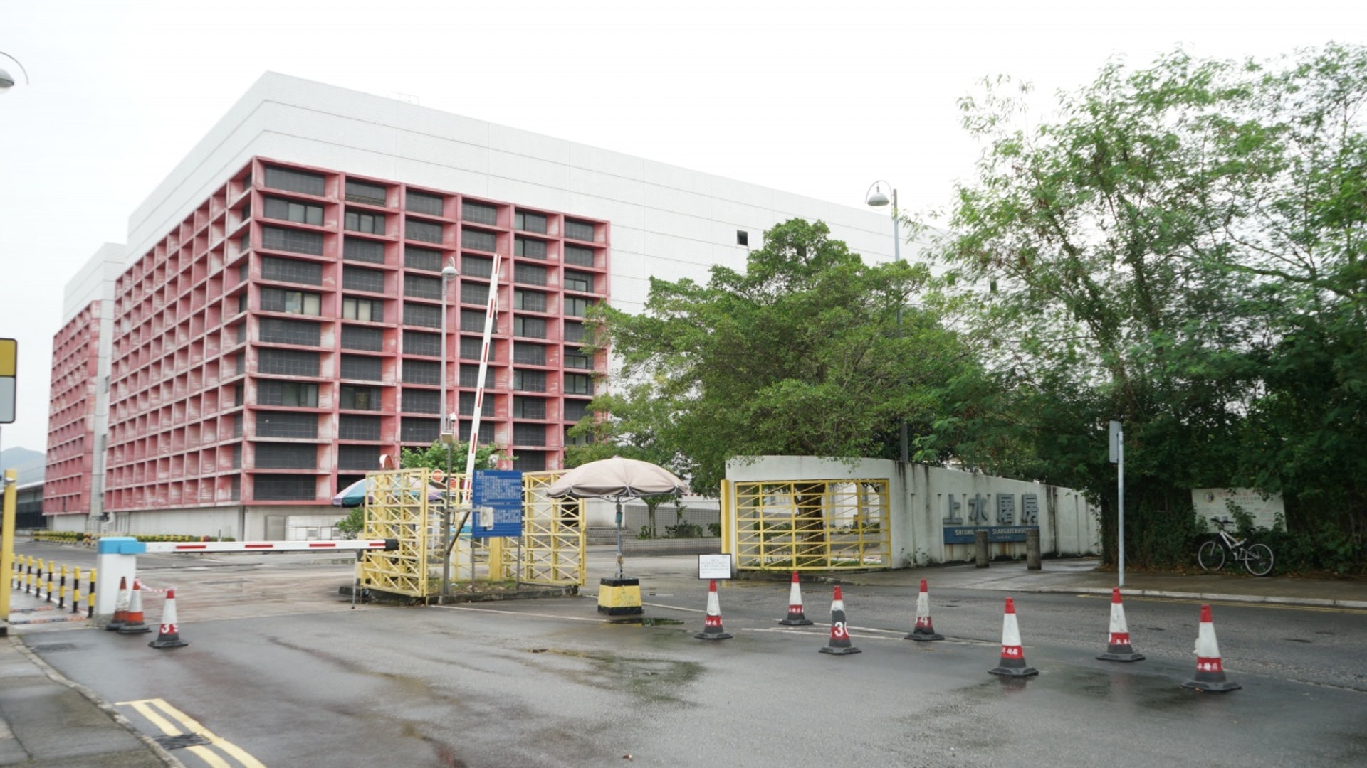 19隻豬被驗出含禁用獸藥。(資料圖片) 19隻豬被驗出含禁用獸藥。(資料圖片)