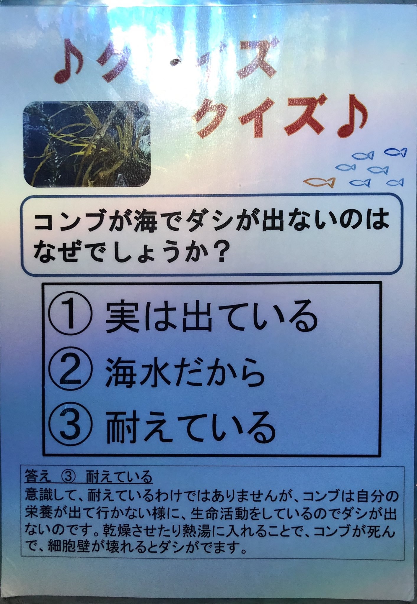 昆布冷知識 在海裡為何不會泡成高湯 提升鮮味處理昆布4貼士 昆布冷知識 在海裡為何不會泡成高湯 提升鮮味處理昆布4貼士