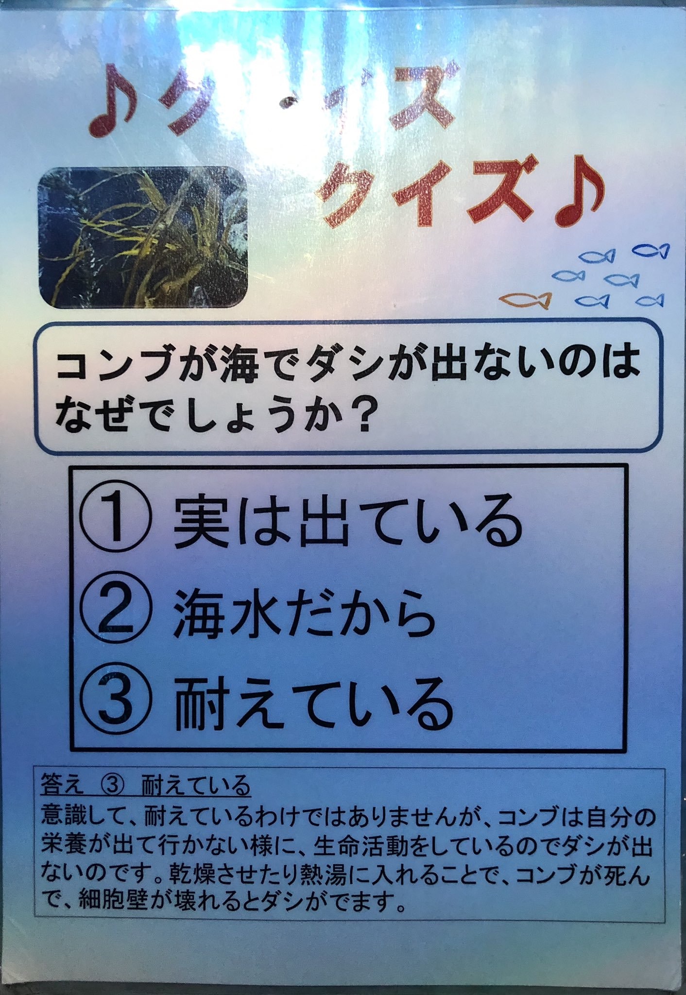 昆布冷知識 在海裡為何不會泡成高湯 提升鮮味處理昆布4貼士