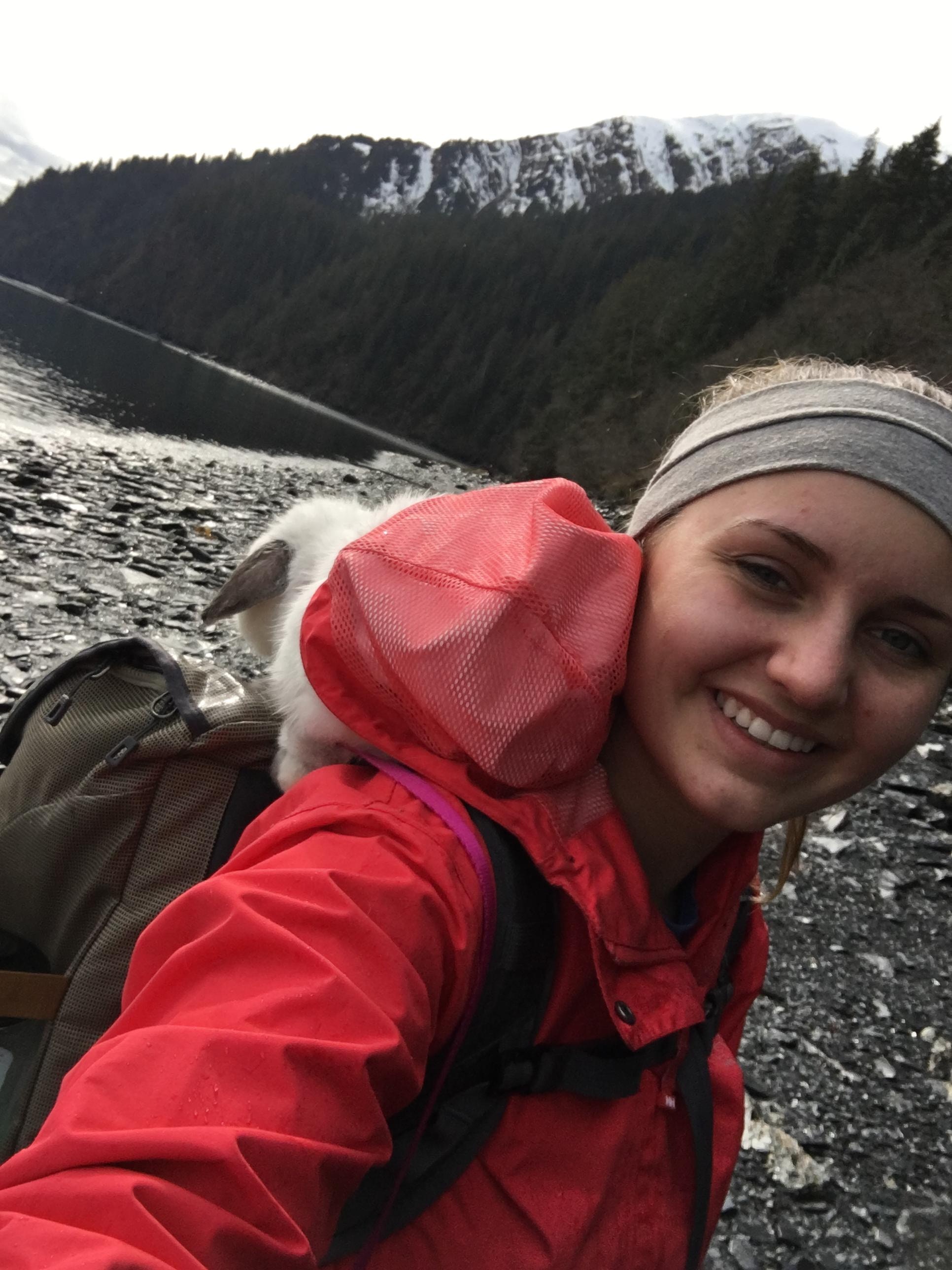 旅程中曾遇上老鷹的唾涎，對Sir Quincey虎視眈眈，但最後都安然無恙。（bunnyfornicater）