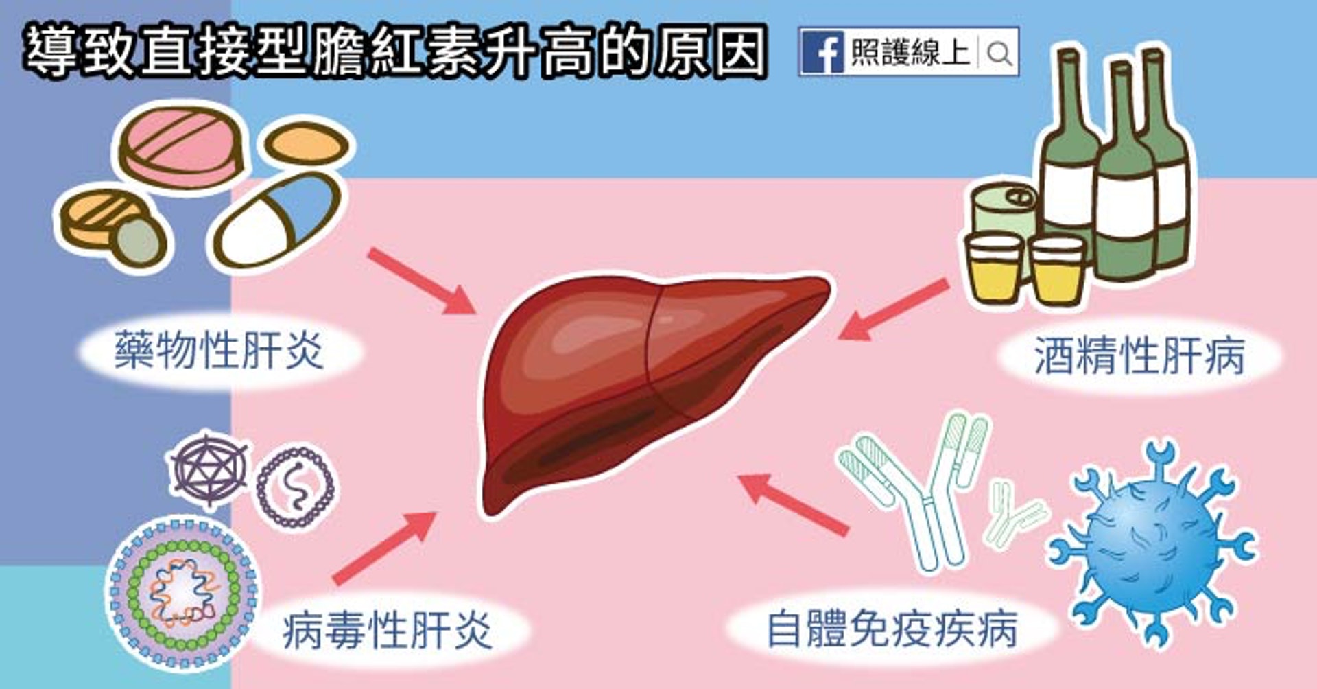 導致直接型膽紅素升高的原因（照護線上授權使用）