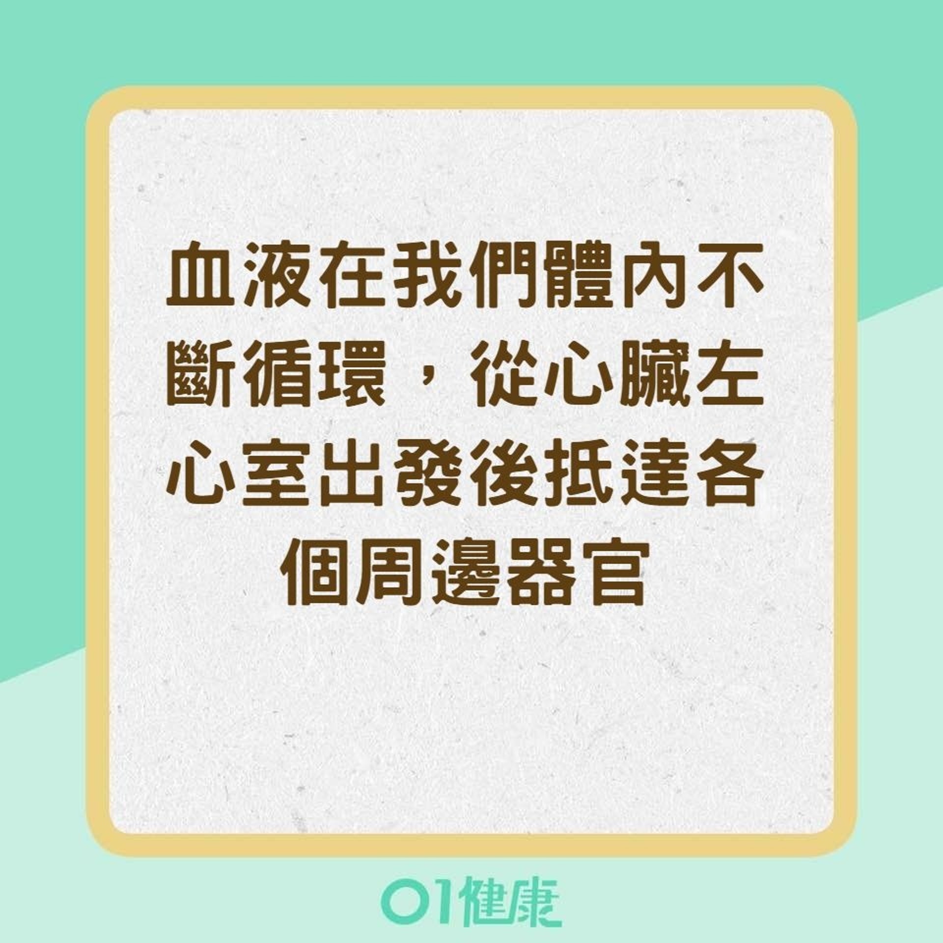 肺栓塞 6大病發高危因素喘氣胸痛及手術開刀後要留心 香港01 健康