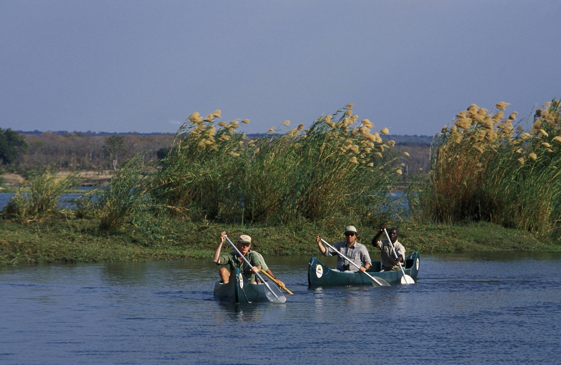 非洲贊比西河（Zambezi River）。（視覺中國）