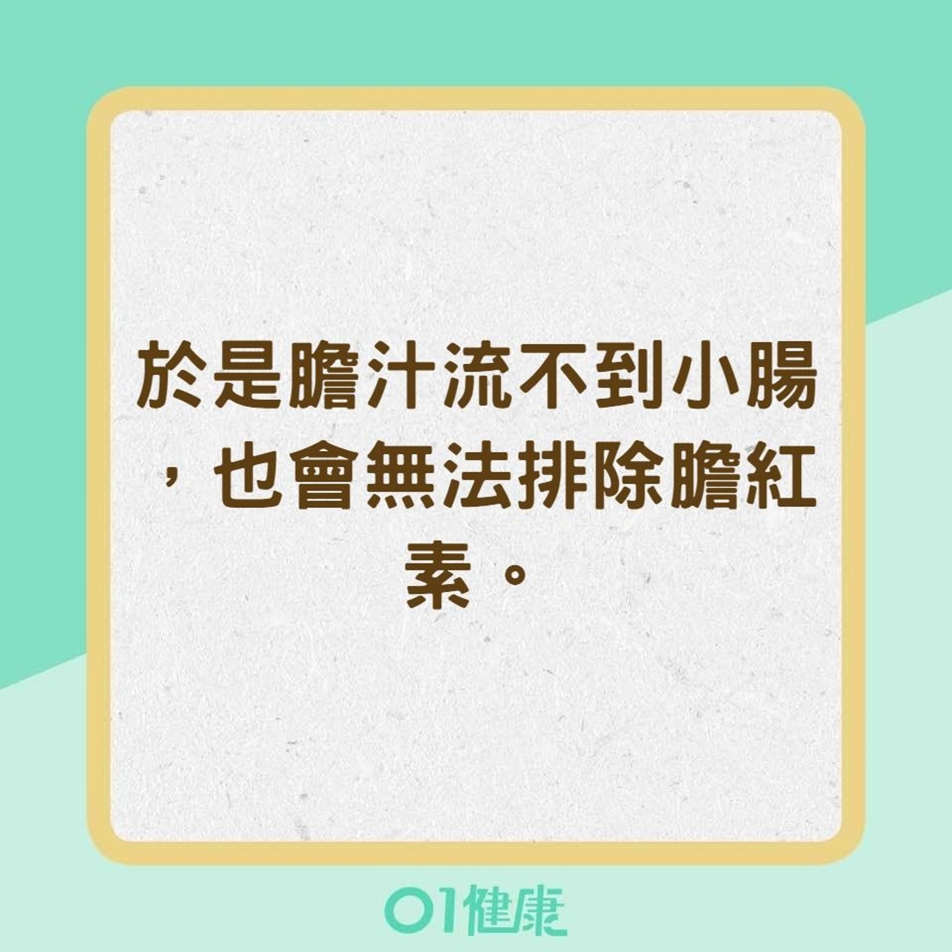 導致黃疸的可能原因：肝臟排除膽汁至腸胃道的路徑受到阻塞（01製圖）