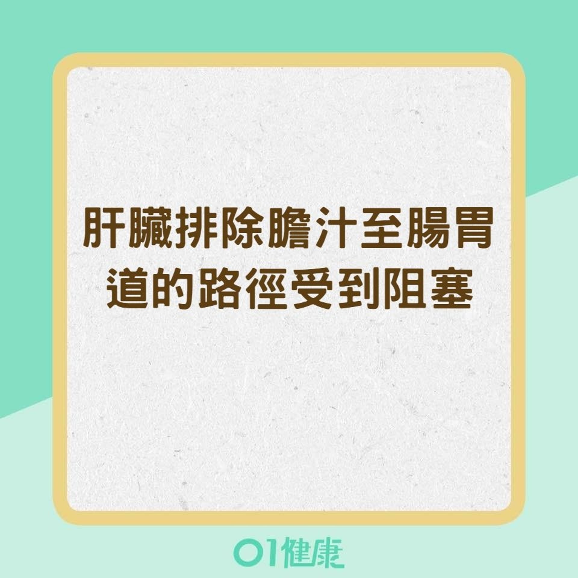 導致黃疸的可能原因：肝臟排除膽汁至腸胃道的路徑受到阻塞（01製圖）