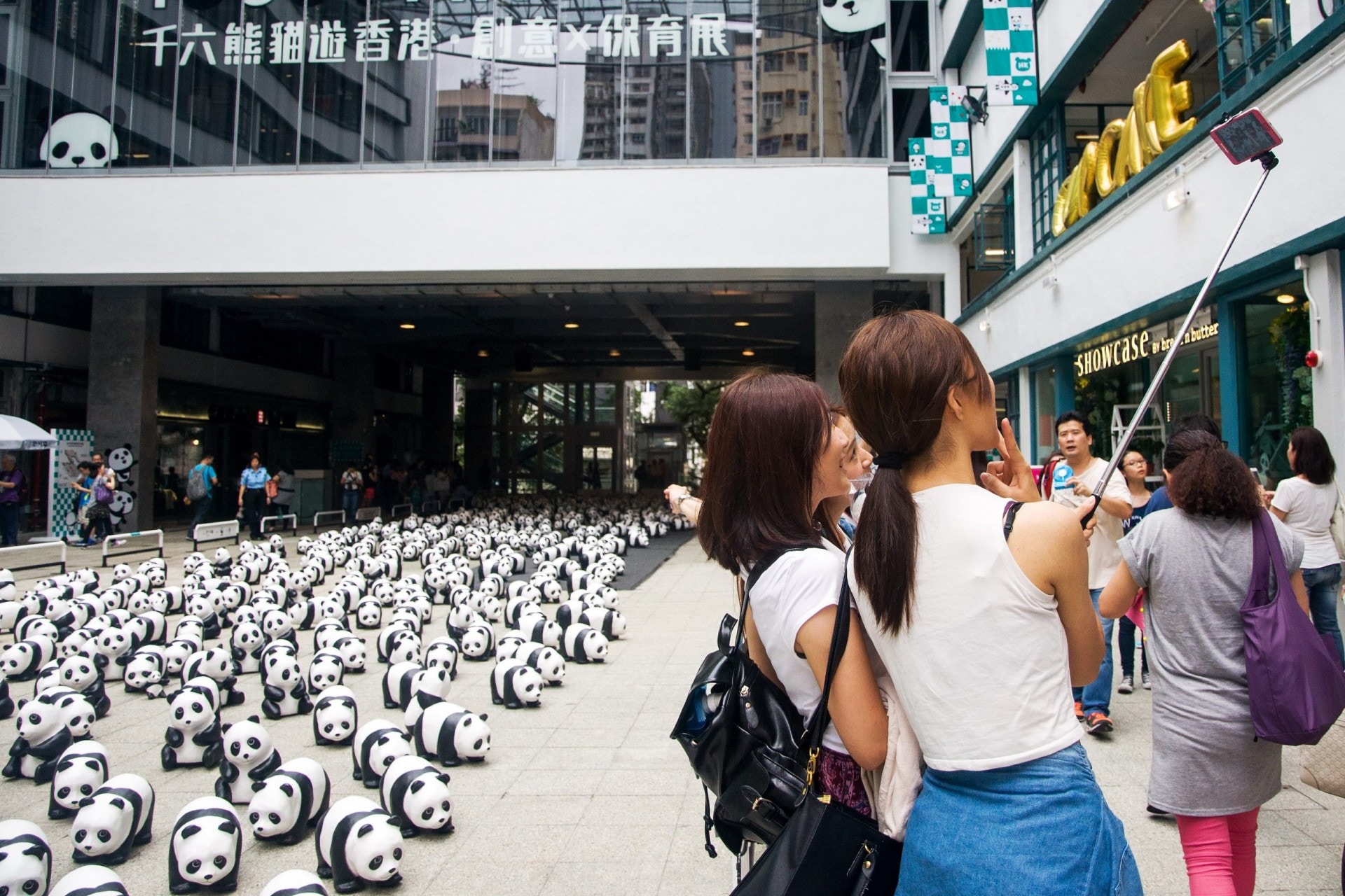 1600-Thousand Pandas Exhibition in 2019 - When you observe them, what thoughts cross your mind about PMQ's future?