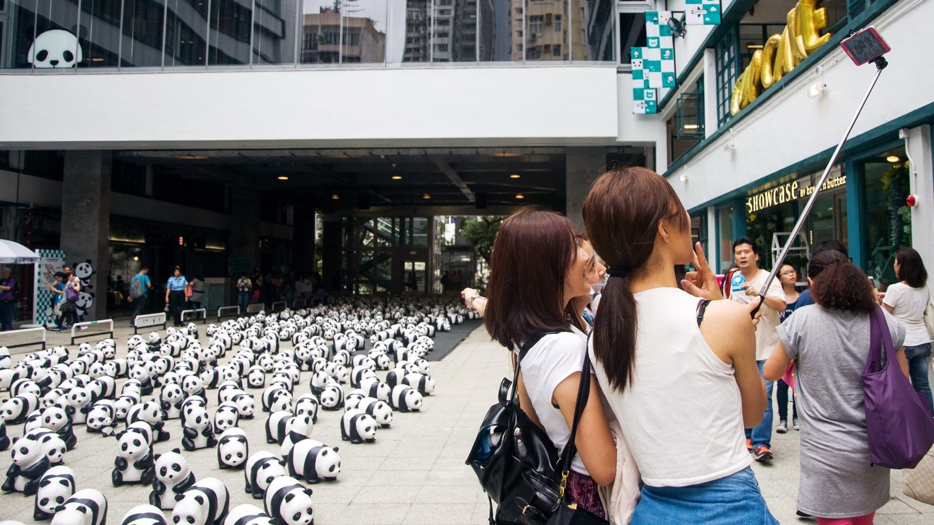 1600-Thousand Pandas Exhibition in 2019 - When you observe them, what thoughts cross your mind about PMQ's future?
