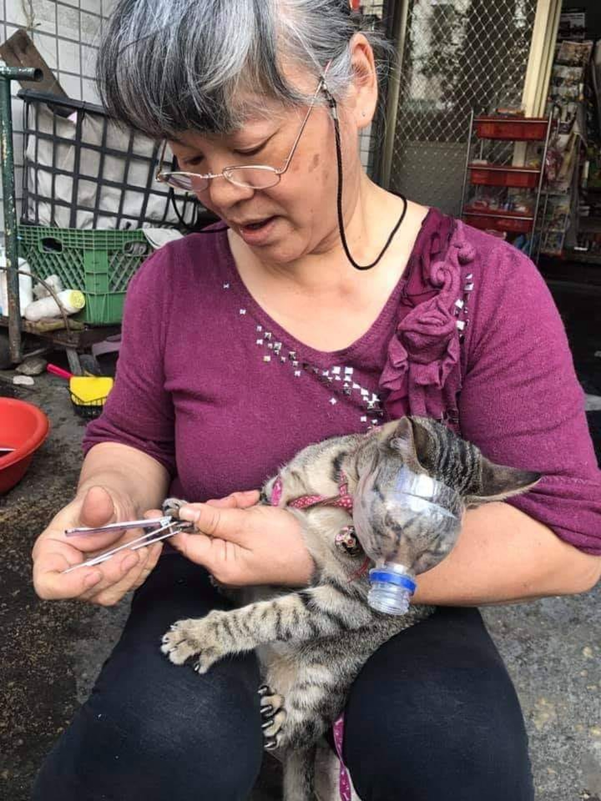 媽媽用膠樽樽蓋,自製了貓咪面罩,讓貓咪乖乖伸手剪指甲。(爆料公社fb圖片) 媽媽用膠樽樽蓋,自製了貓咪面罩,讓貓咪乖乖伸手剪指甲。(爆料公社fb圖片)