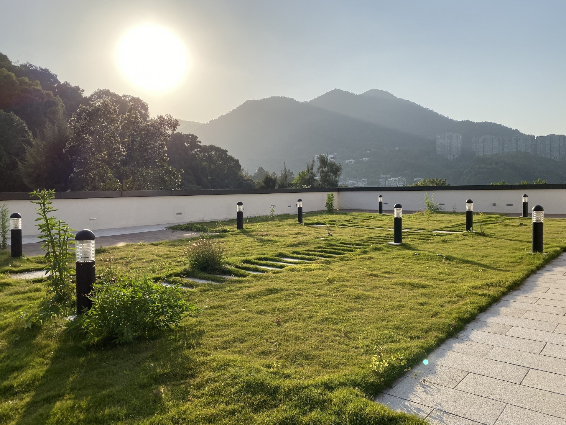 天台花園。（黃詠榆攝）