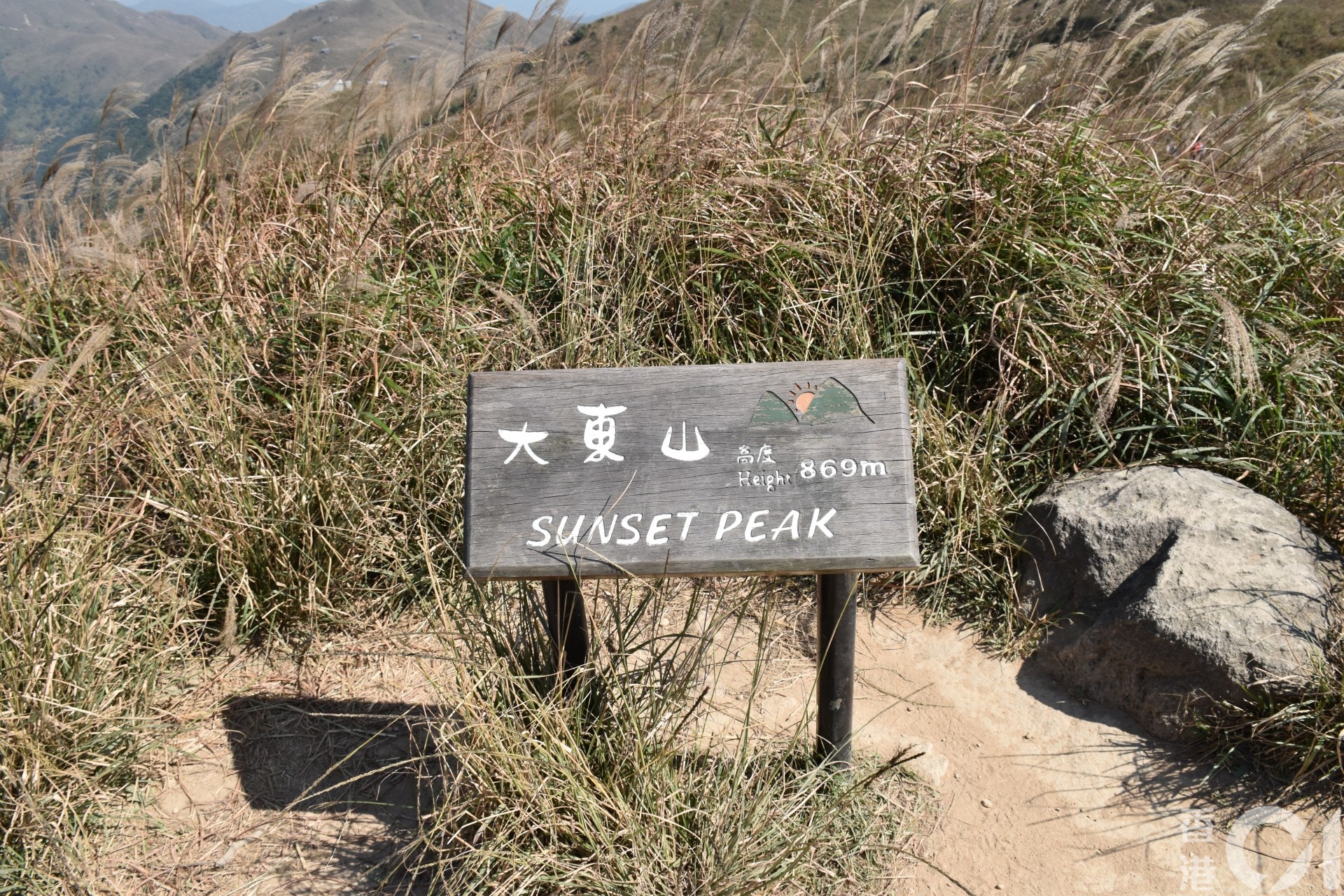 大東山賞芒草必看21 新手行山指南附建議路線 交通 攝影攻略