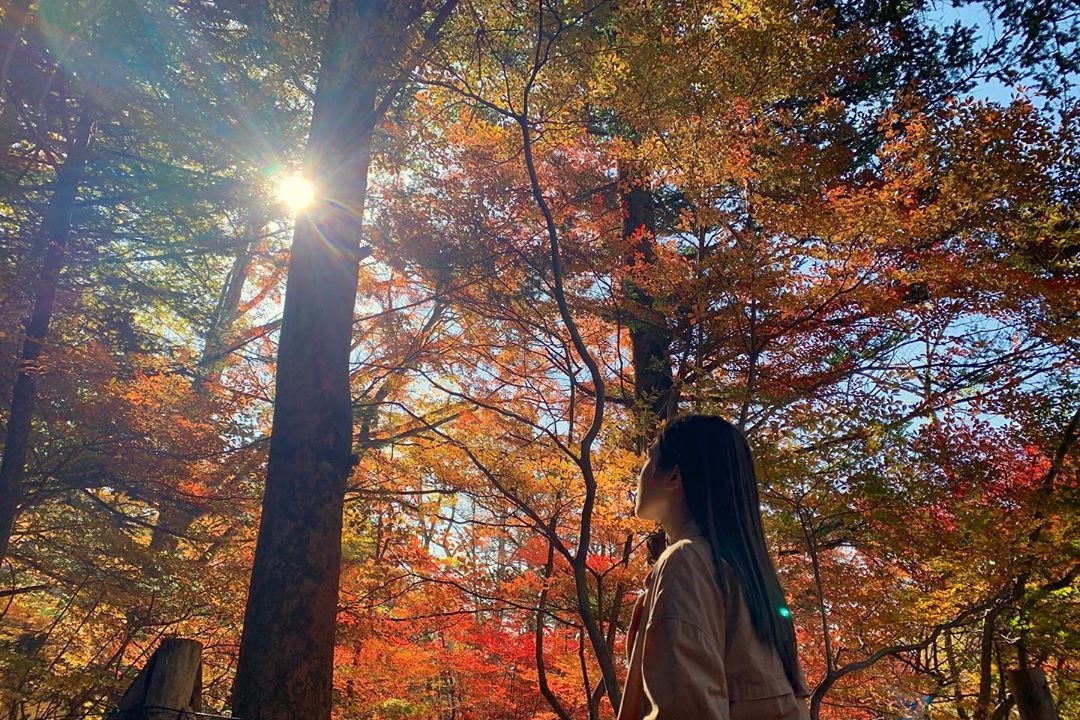 多圖 雞排妹鄭家純做文青少女齋貼紅葉風景相都過萬like