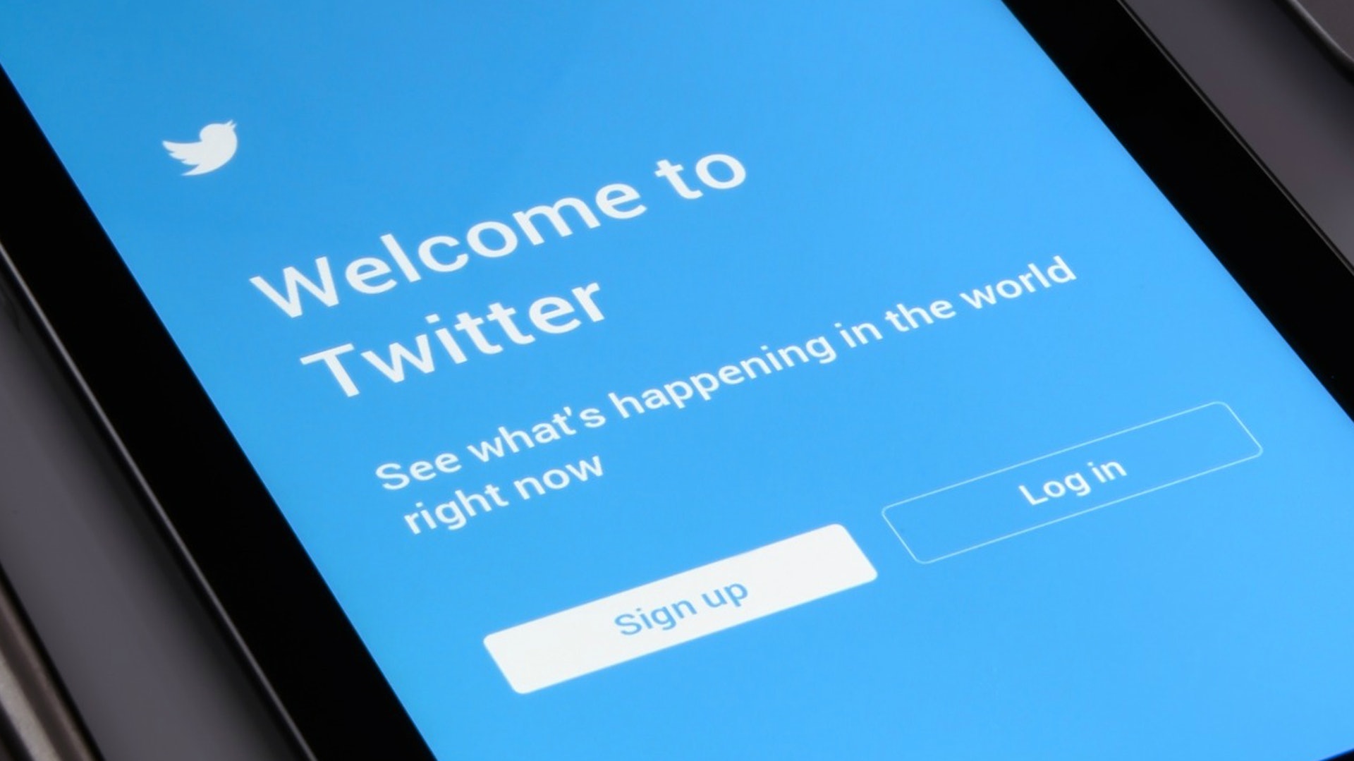 69%受訪者認為總統用Twitter是一件「壞事」,因為「在一瞬間,未經仔細審核的訊息可導致無意但嚴重的後果」。(Pixabay) 69%受訪者認為總統用Twitter是一件「壞事」,因為「在一瞬間,未經仔細審核的訊息可導致無意但嚴重的後果」。(Pixabay)