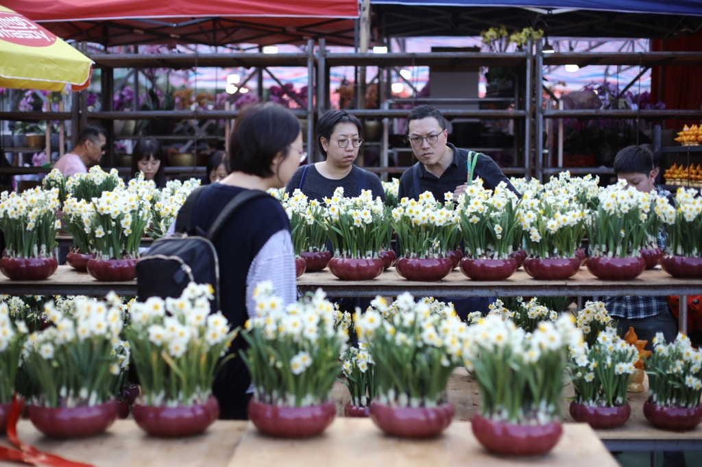 年宵花市 商戶憂突然取消不投檔市民批 無法好好過年 香港01 社會新聞