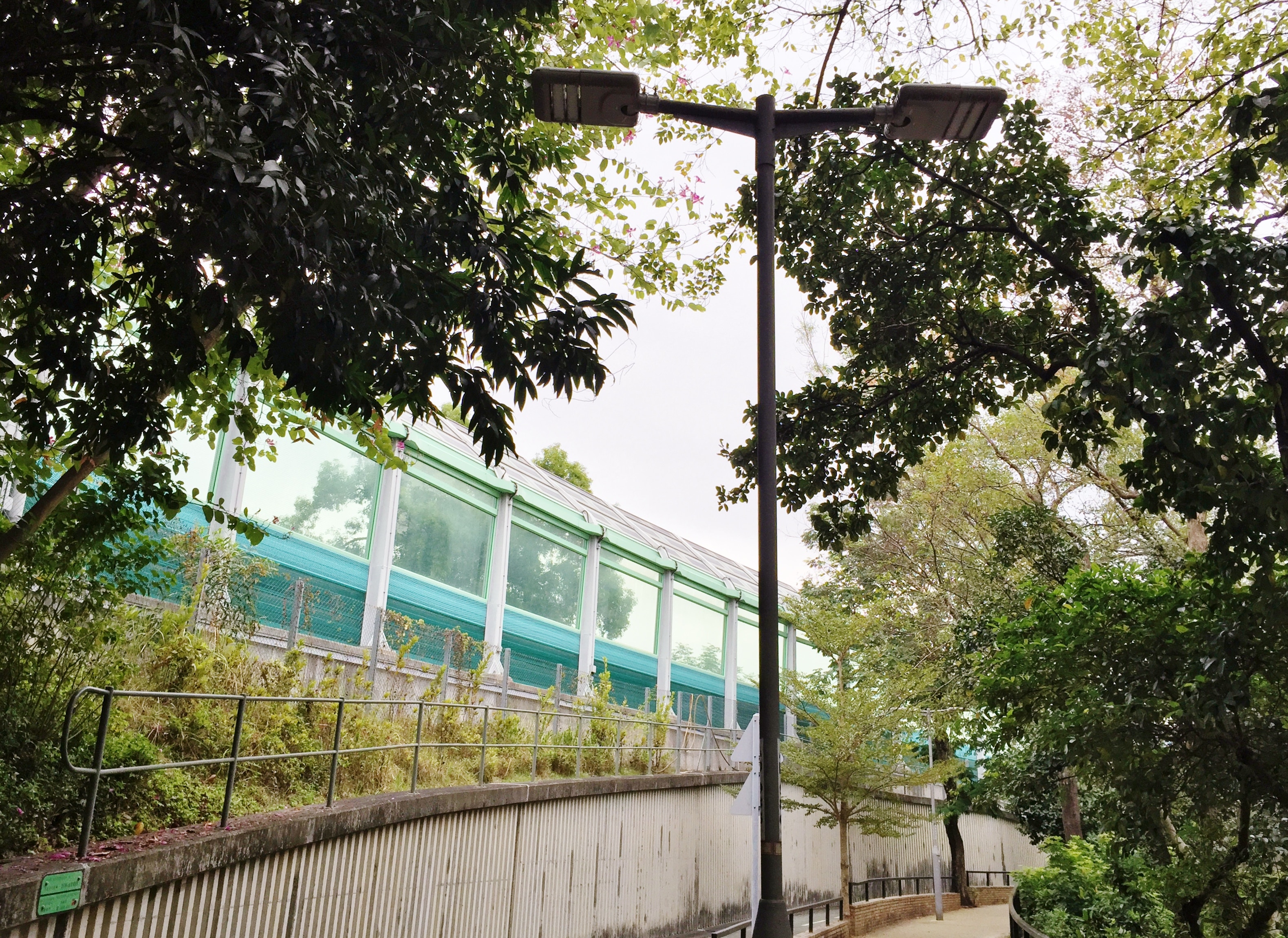 【社區廢設施？】太陽能街燈成效欠佳　大帽山保安：市民當冇燈用