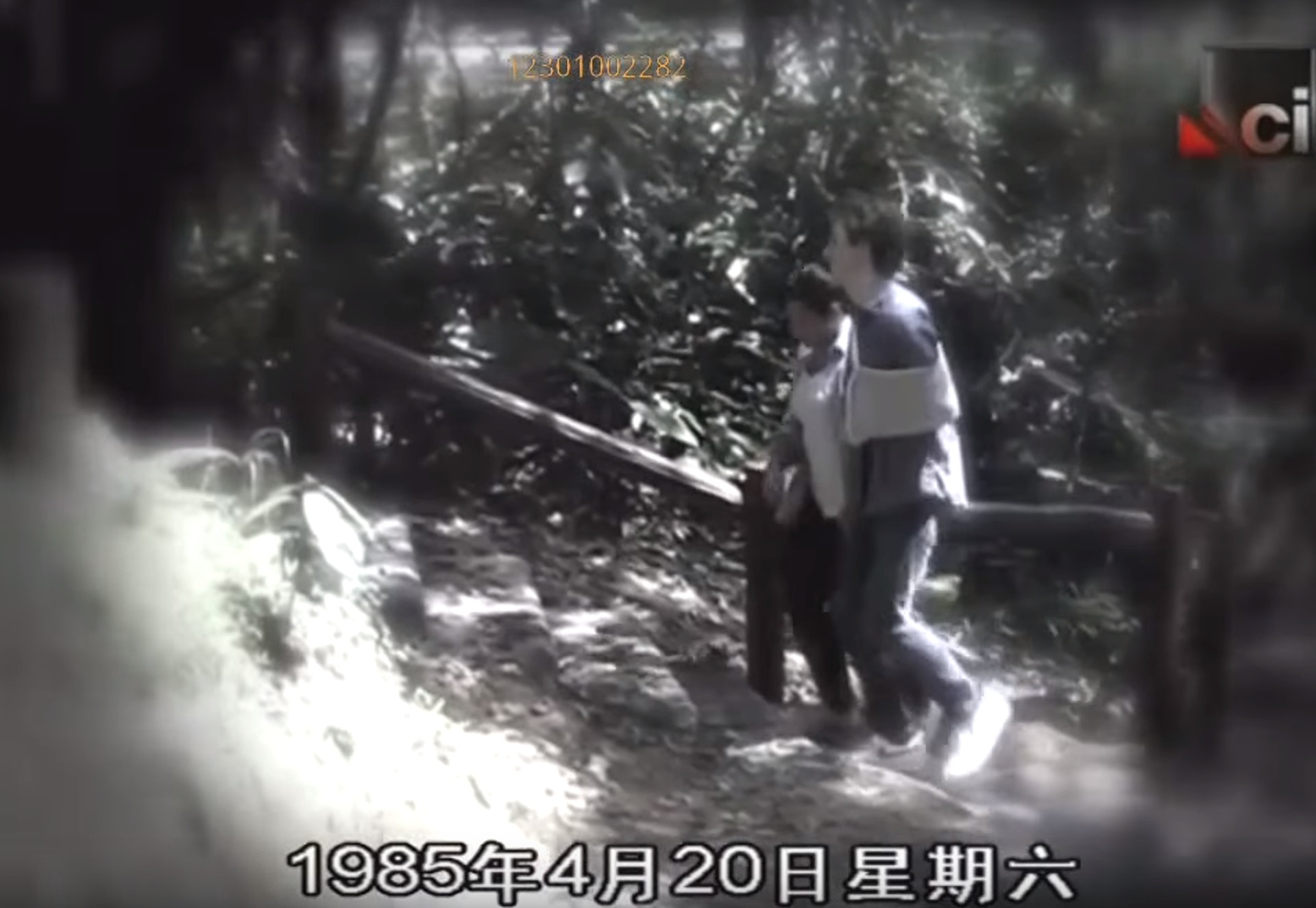 犯人行兇手法極兇殘。(影片截圖) 犯人行兇手法極兇殘。(影片截圖)