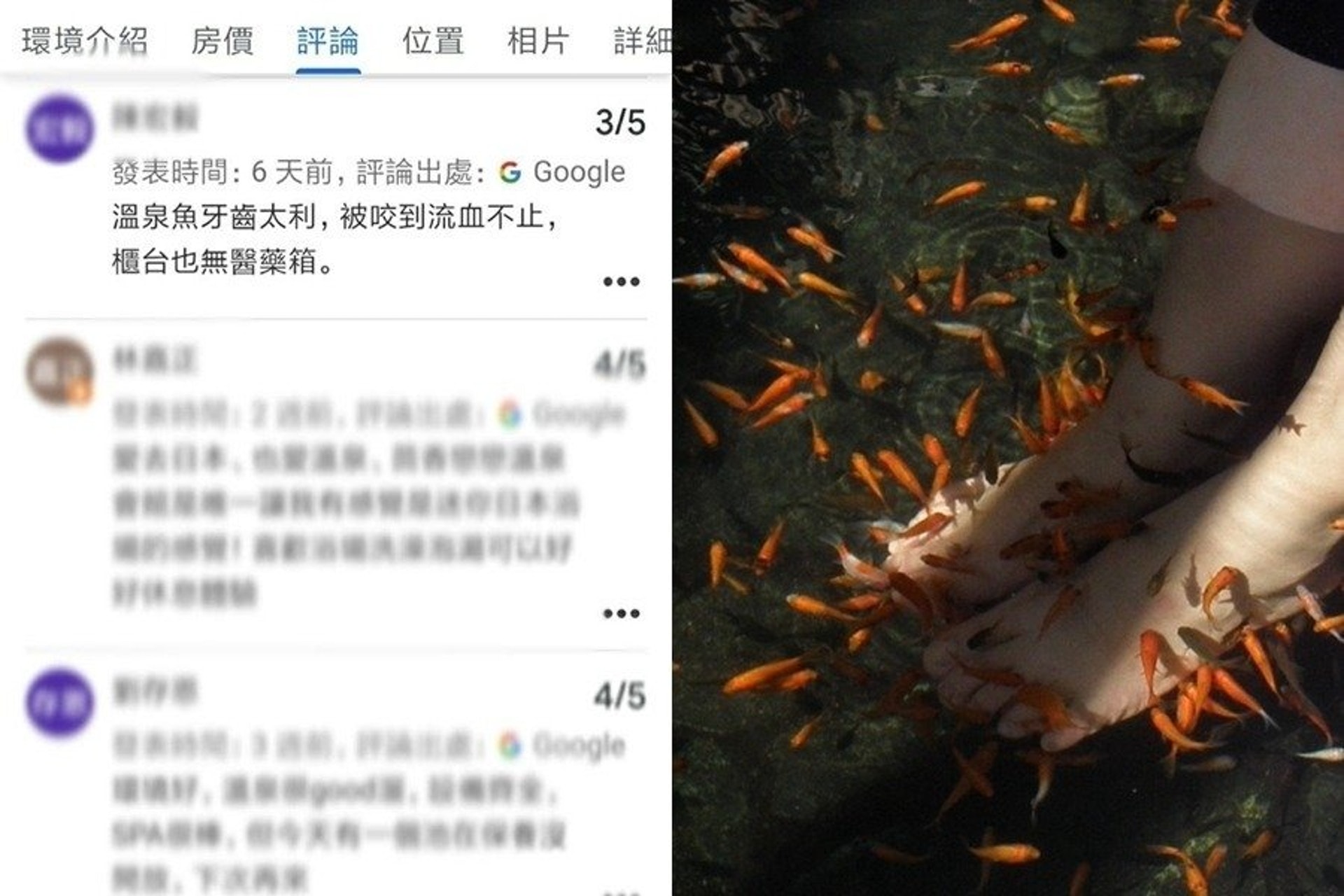 近日有位網友分享,自己在查各家評價時,意外發現一間溫泉會館被遊客留下負評。(示意圖,非本文指涉之對象。) (Facebook@爆廢公社) 近日有位網友分享,自己在查各家評價時,意外發現一間溫泉會館被遊客留下負評。(示意圖,非本文指涉之對象。) (Facebook@爆廢公社)