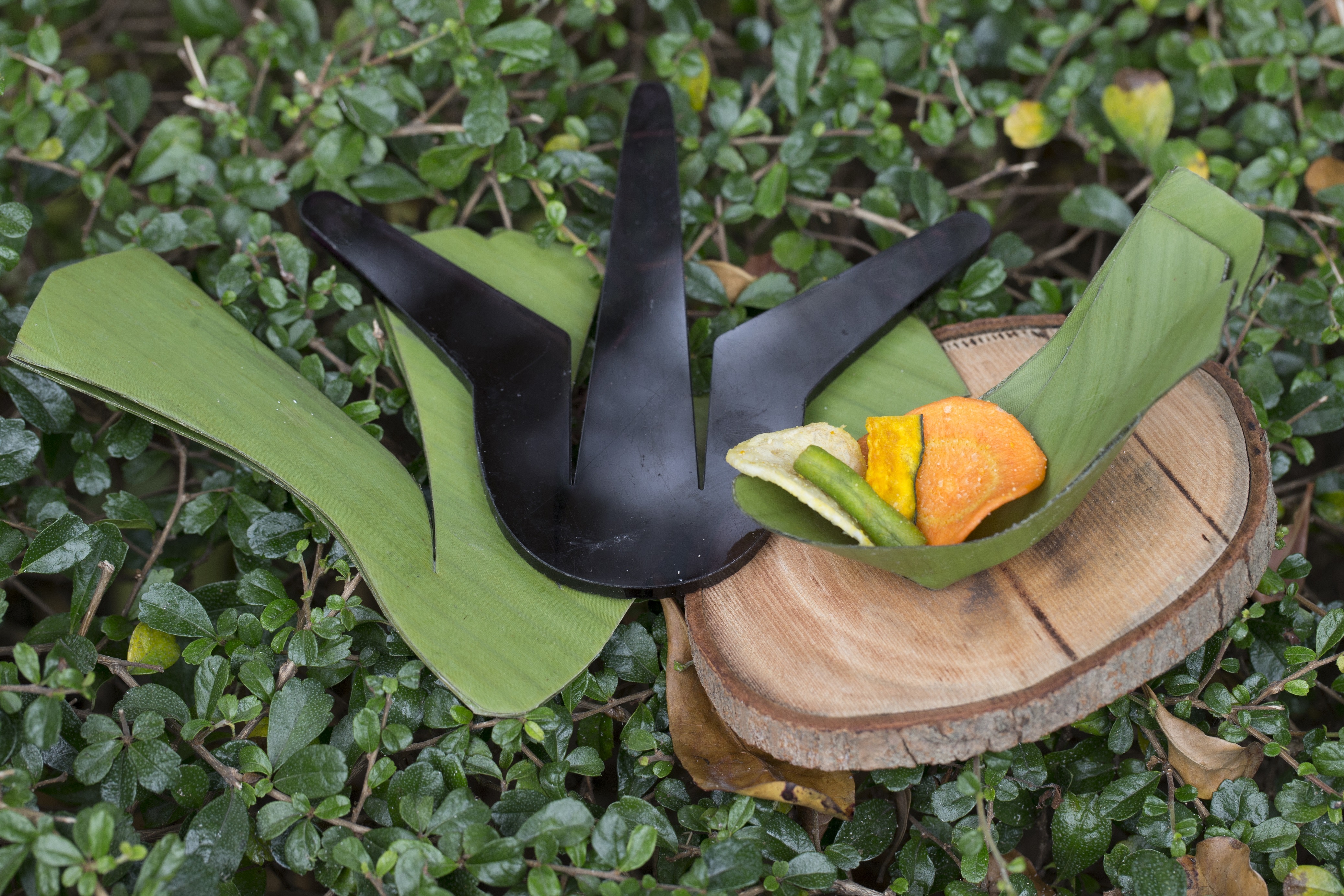 「川」設計者想到蕉葉易枯萎的特性,因而從生產簡易性及速度出發,設計出簡單的匙子模具。 「川」設計者想到蕉葉易枯萎的特性,因而從生產簡易性及速度出發,設計出簡單的匙子模具。