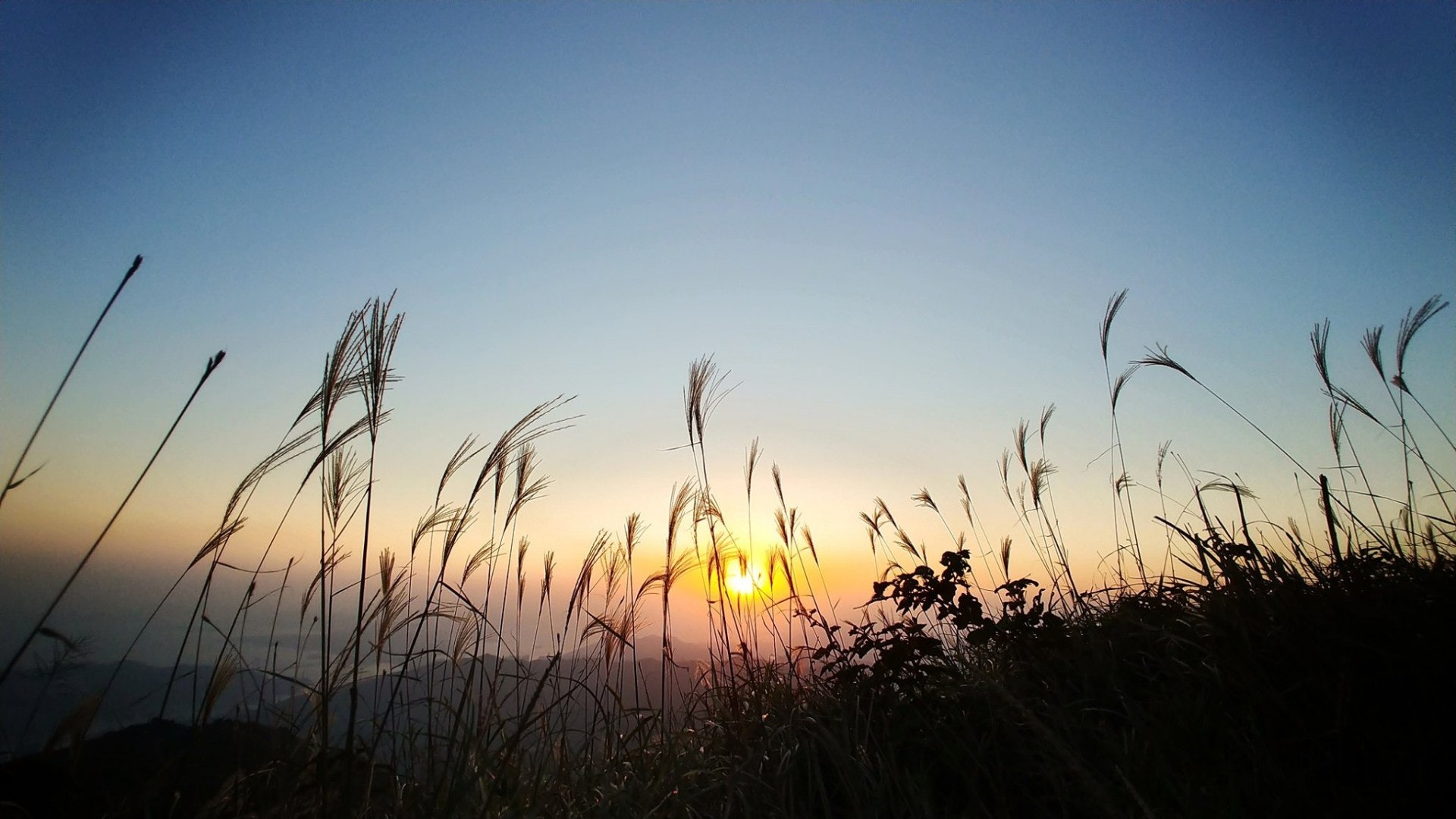 美麗夕陽(小牛牛授權使用) 美麗夕陽(小牛牛授權使用)
