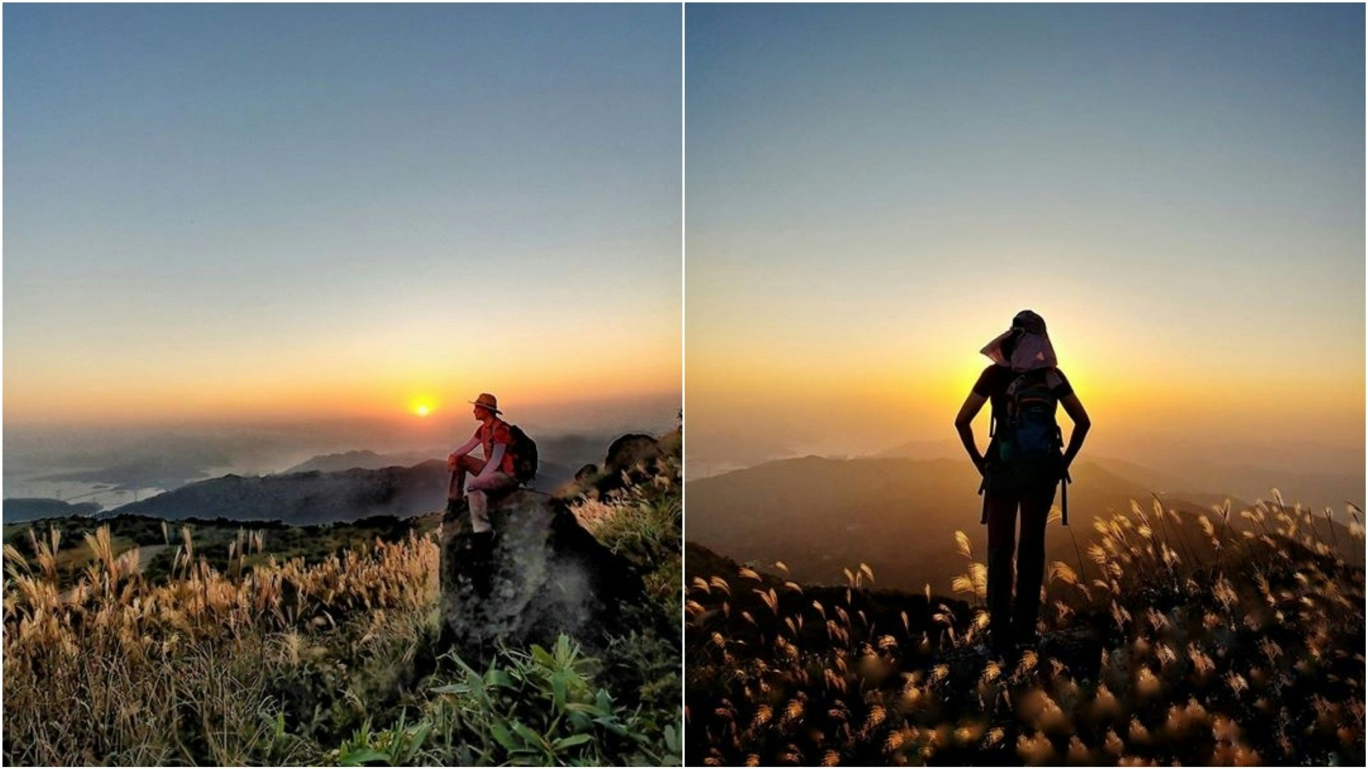 【芒草行山路線】城門水塘起步上四方山大帽山 必拍夕陽芒草靚景 【芒草行山路線】城門水塘起步上四方山大帽山 必拍夕陽芒草靚景