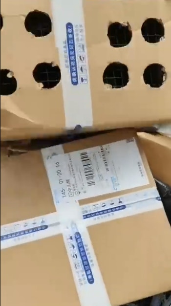 紙箱的一面被割了8個小洞。(fb「Funlala集運」影片截圖) 紙箱的一面被割了8個小洞。(fb「Funlala集運」影片截圖)