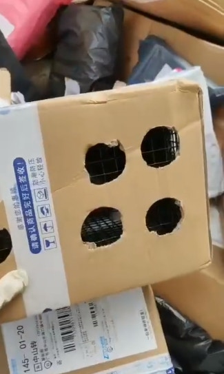 紙箱的一面被割了8個小洞。(fb「Funlala集運」影片截圖) 紙箱的一面被割了8個小洞。(fb「Funlala集運」影片截圖)
