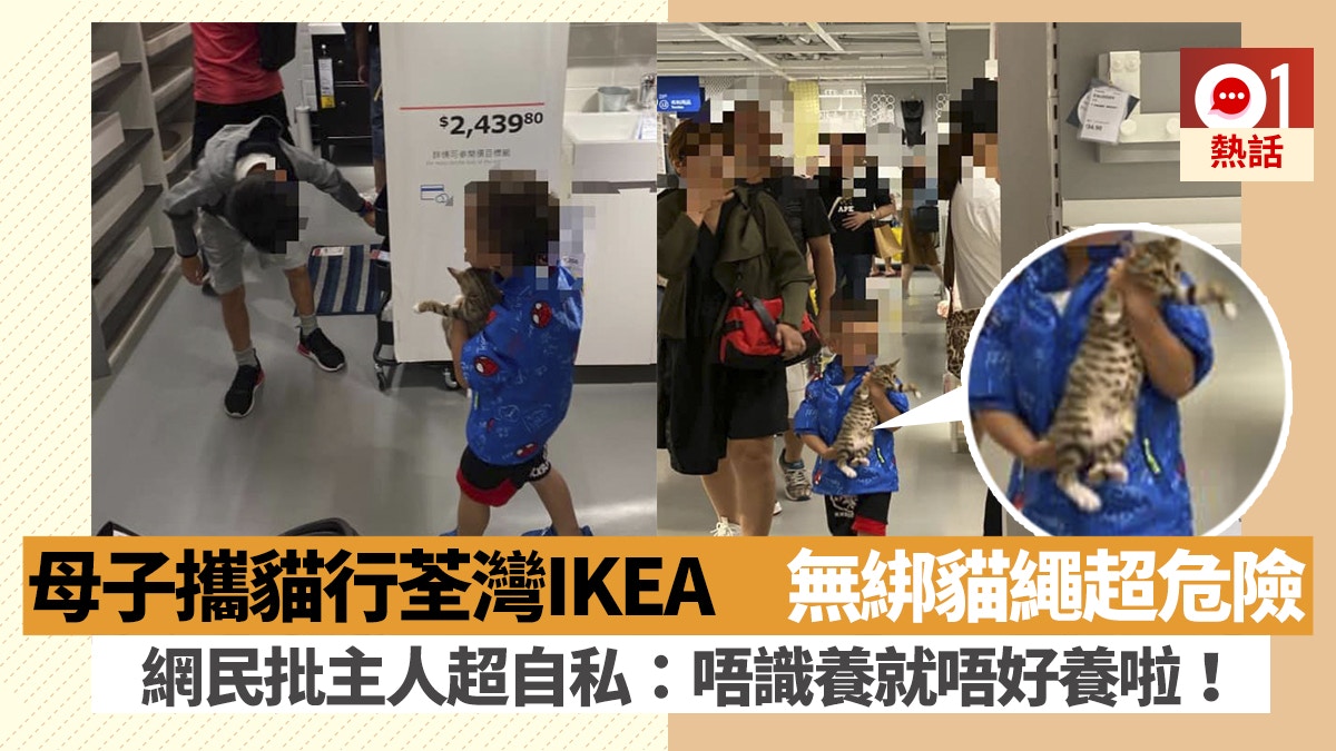 男童抱貓行荃灣ikea 離譜媽擺上梳化任人圍觀網民鬧爆無腦