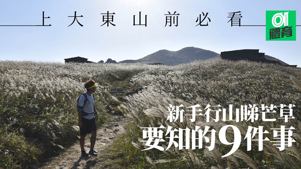 新手行山睇芒草要知的9件事。(01美術製圖) 新手行山睇芒草要知的9件事。(01美術製圖)