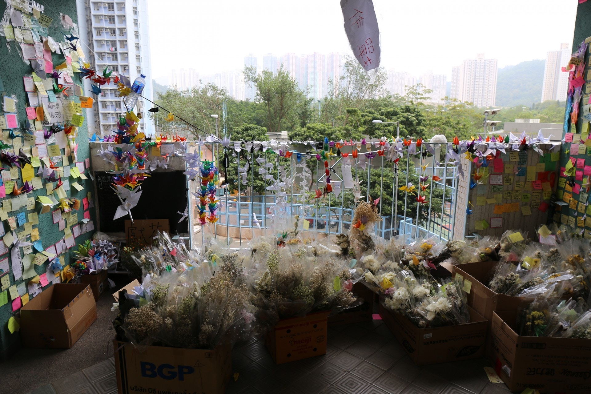 過去數周，陸續有人前往涉事停車場獻花，至今日，現場仍有過百支鮮花。（陳諾希攝）