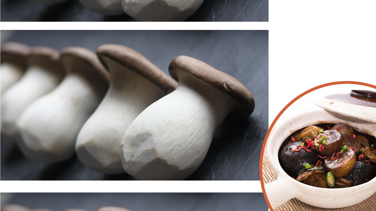 杏鮑菇食譜大全 杏鮑菇15種家常菜做法鮮嫩彈牙媲美肉類海鮮 香港01 教煮