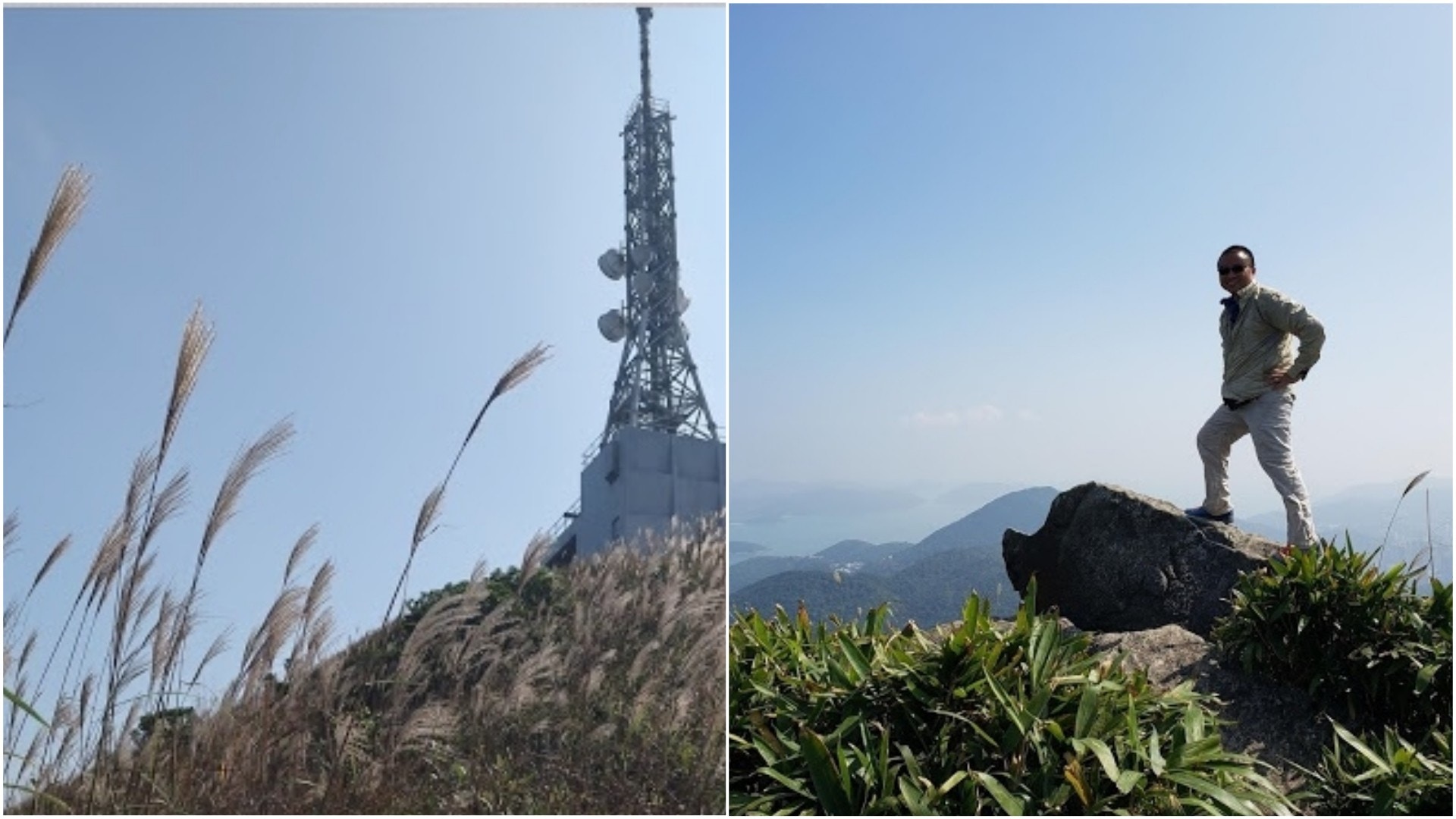 【九龍行山路線】登飛鵝山經象山東山落坪石　沿途尋奇石芒草打卡