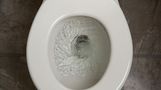 廁所水你敢喝嗎? 澳洲推淨化作飲用計劃應對旱災 廁所水你敢喝嗎? 澳洲推淨化作飲用計劃應對旱災