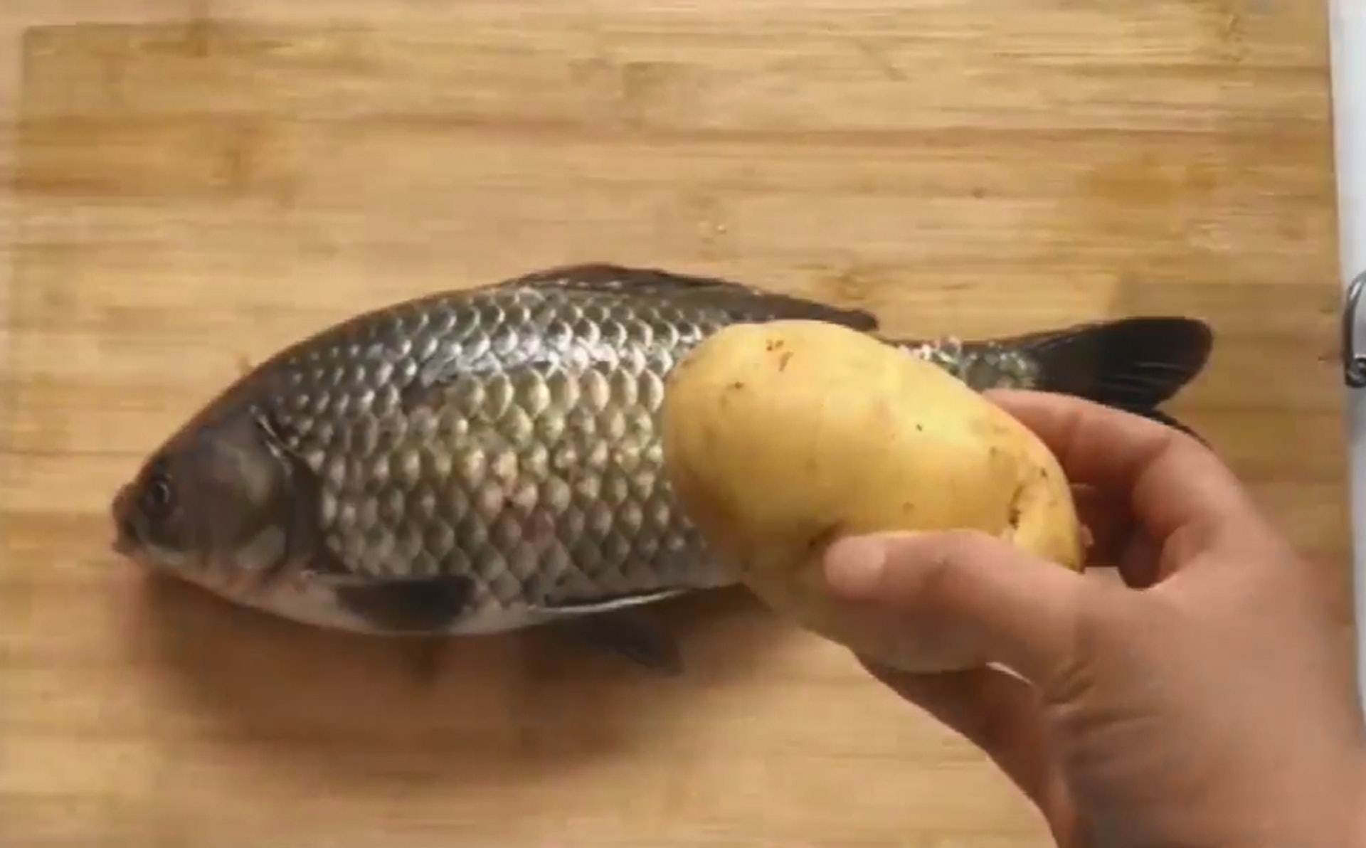 生活百科 去魚鱗唔怕周圍彈一種蔬菜即時ko又快又乾淨 生活百科 去魚鱗唔怕周圍彈一種蔬菜即時ko又快又乾淨