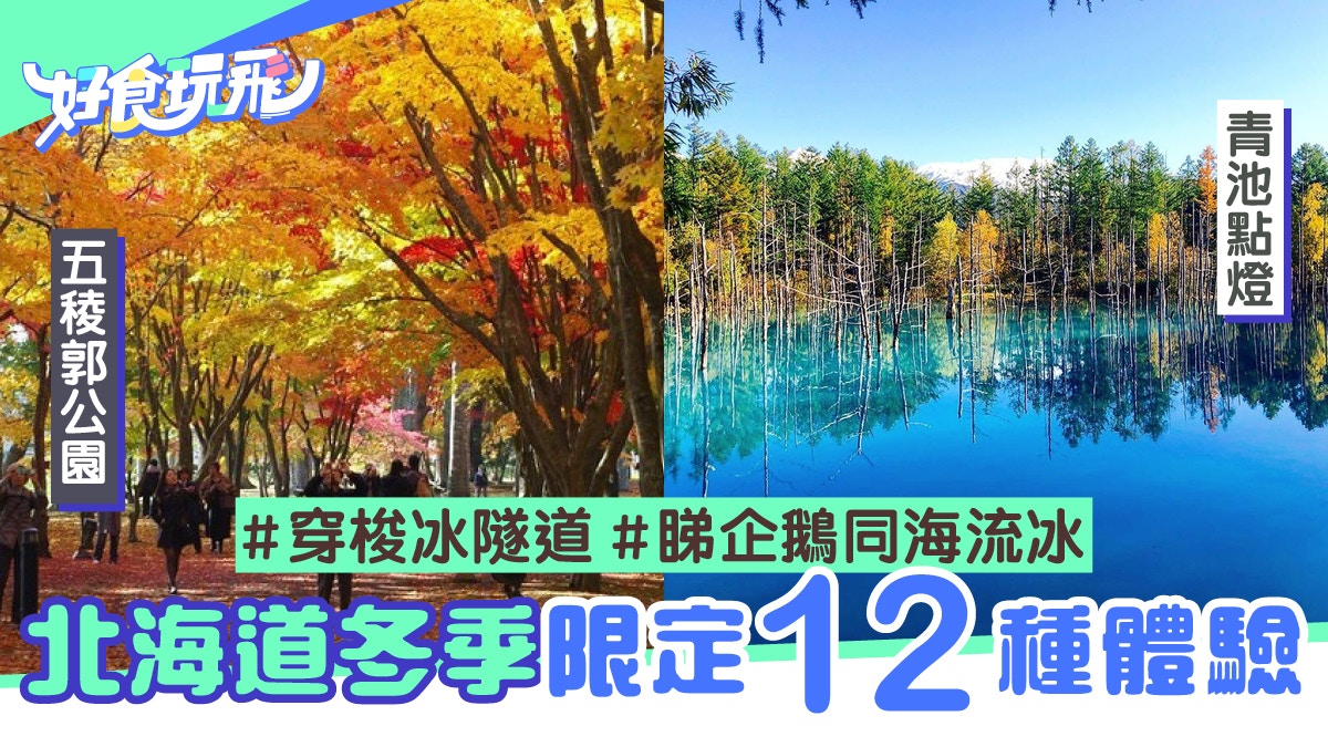 北海道自由行 冬季限定12種體驗 穿梭冰隧道睇企鵝同海流冰