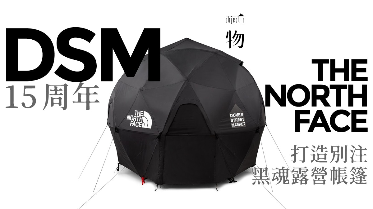 geodome the north face