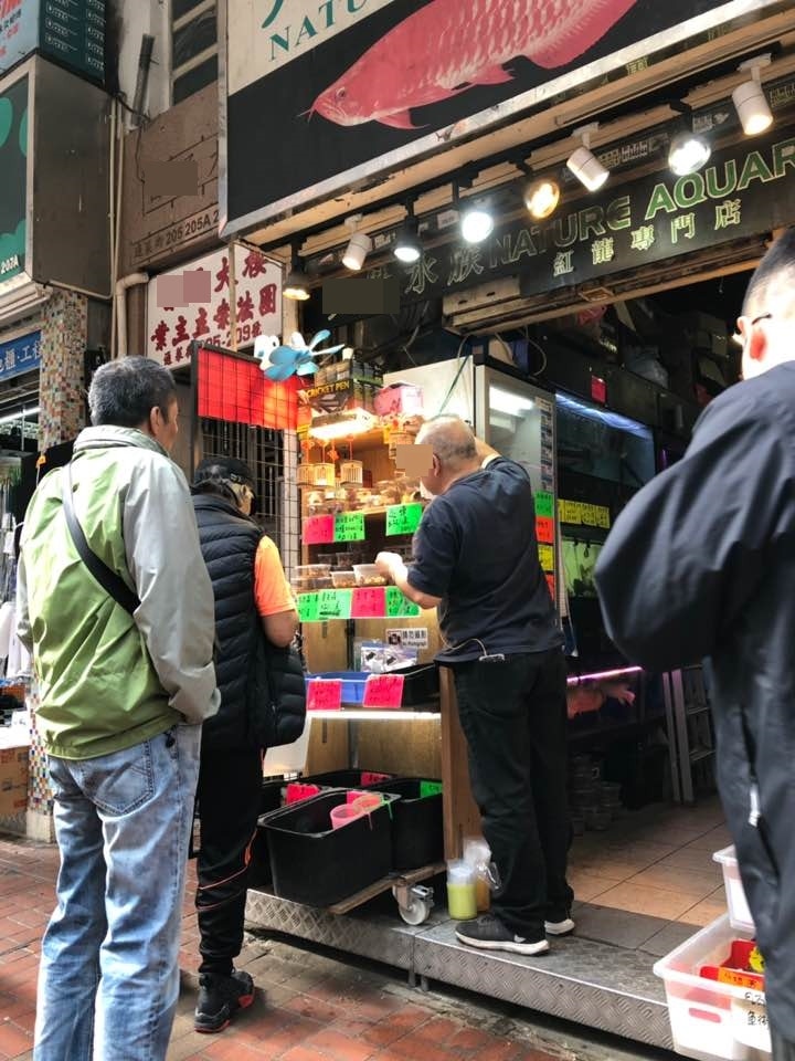至於另一間店舖,當老闆被問到有否岀售「油漆龜」,他只連番表示「答咗你冇」。(鄧詠中攝) 至於另一間店舖,當老闆被問到有否岀售「油漆龜」,他只連番表示「答咗你冇」。(鄧詠中攝)