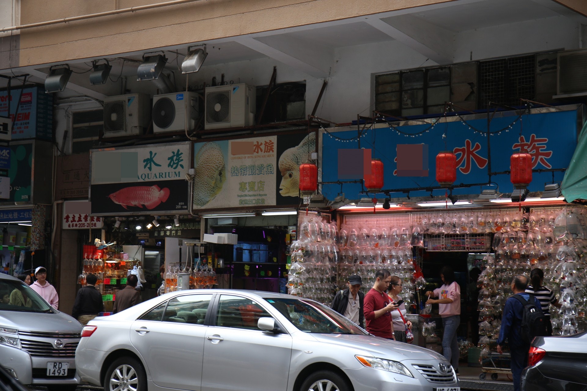 旺角金魚街。(鄧詠中攝) 旺角金魚街。(鄧詠中攝)