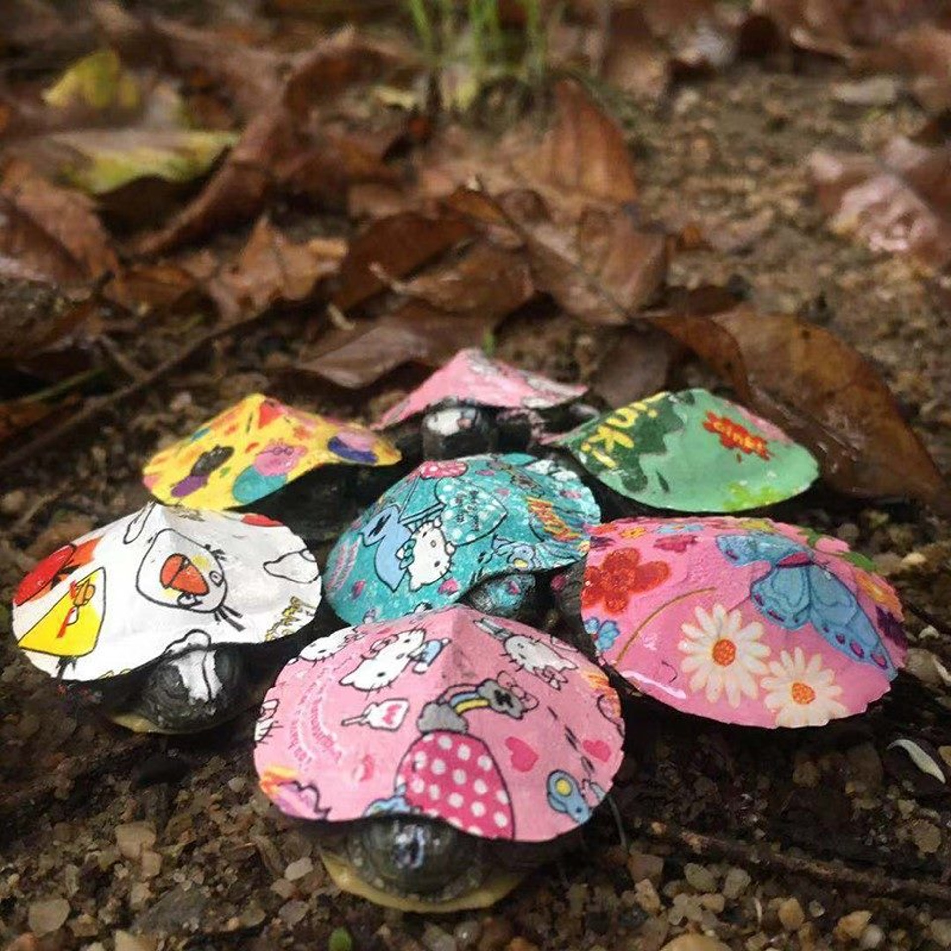 內地網站不時見有「七彩龜」售賣,從相片可見,除了龜殼之外,部分油漆還沾上烏龜的頭、眼及爪。(網上圖片) 內地網站不時見有「七彩龜」售賣,從相片可見,除了龜殼之外,部分油漆還沾上烏龜的頭、眼及爪。(網上圖片)