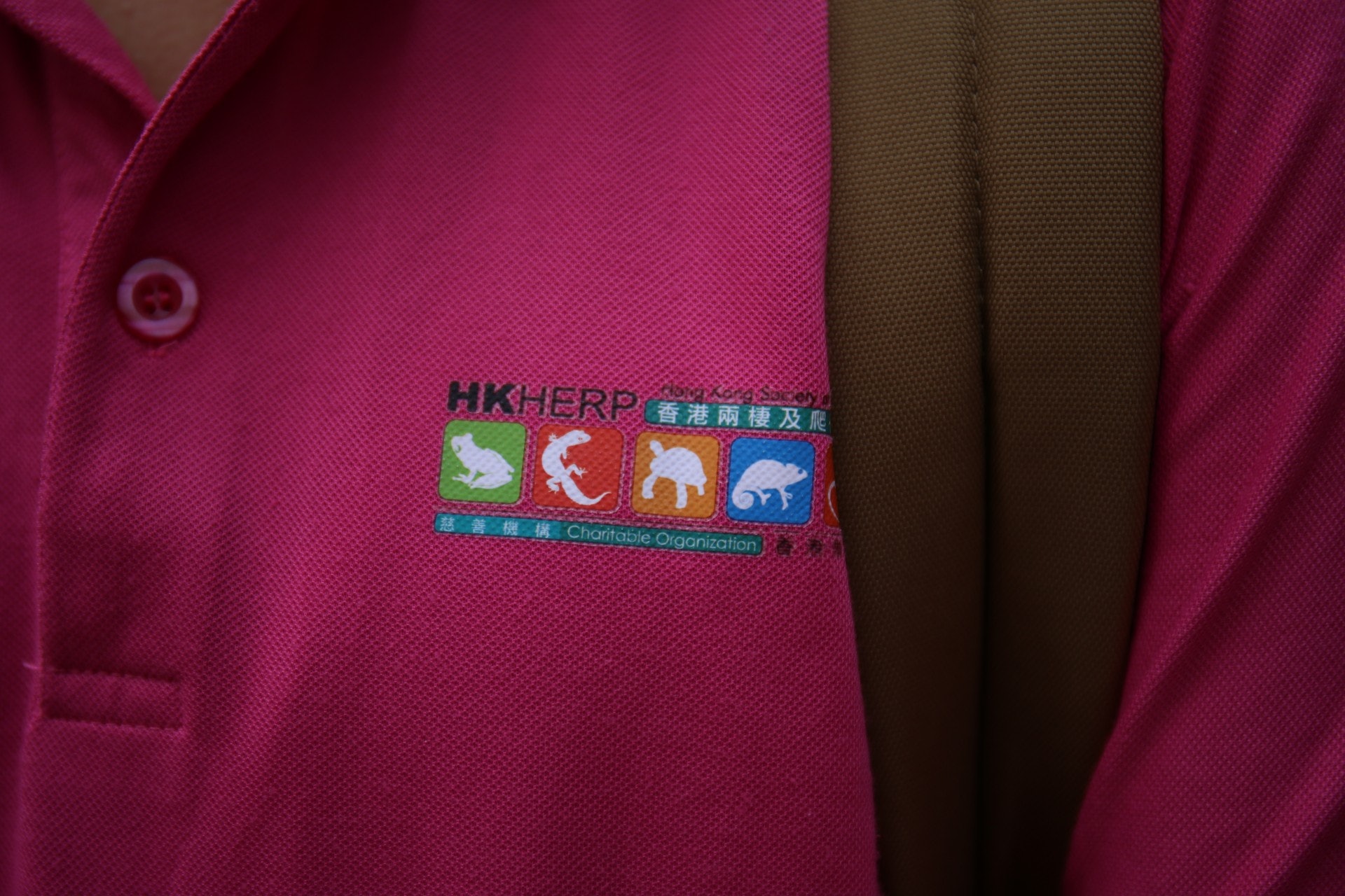 他呼籲市民不要購買,亦提醒大家如在市面上發現有龜被塗上油漆,可聯絡動物機構或報警求助。(鄧詠中攝) 他呼籲市民不要購買,亦提醒大家如在市面上發現有龜被塗上油漆,可聯絡動物機構或報警求助。(鄧詠中攝)