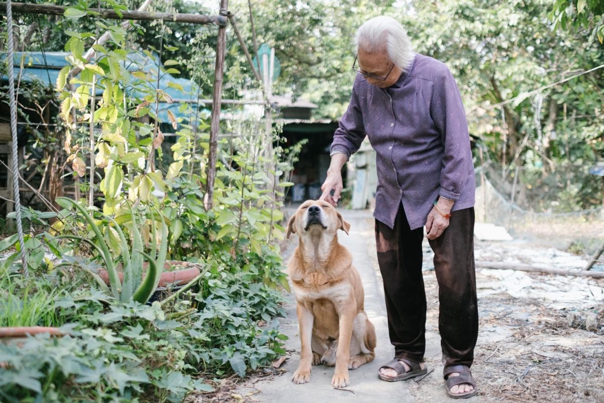 棠叔的妻子好姐,與阿財之間有一種默契。平日只要她拿起拐杖,阿財便知道她要外出,便會自動自覺陪她一起走。(盧翊銘攝) 棠叔的妻子好姐,與阿財之間有一種默契。平日只要她拿起拐杖,阿財便知道她要外出,便會自動自覺陪她一起走。(盧翊銘攝)