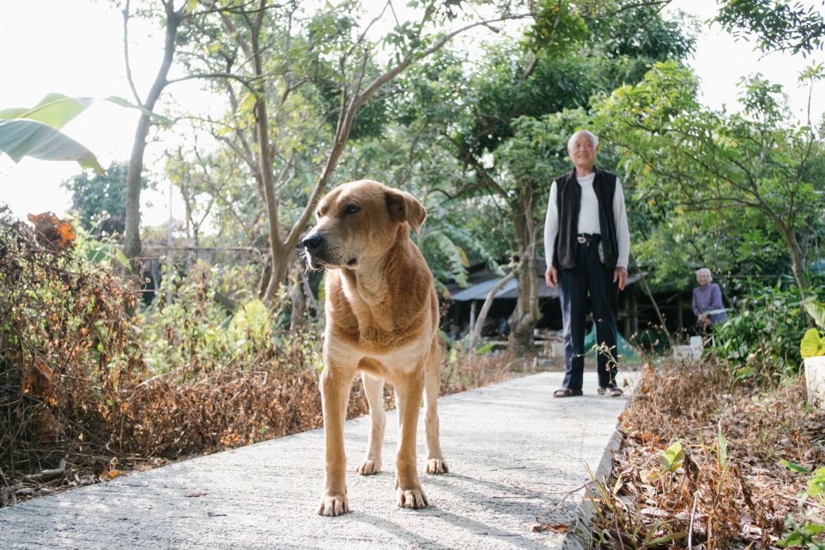為阿財找到一個家,是棠叔的心願。(盧翊銘攝) 為阿財找到一個家,是棠叔的心願。(盧翊銘攝)